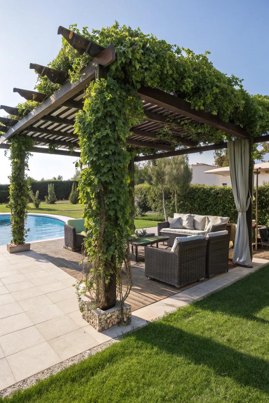 A poolside pergola with climbing vines and comfortable seating underneath.