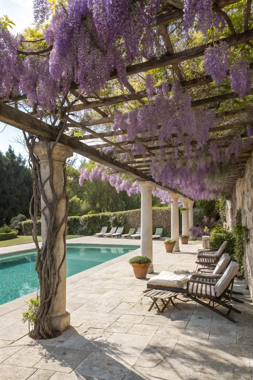 A pergola wrapped with climbing plants, offering a natural and fragrant canopy.