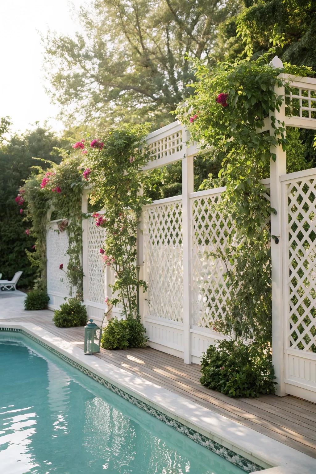 Lattice screens combined with greenery create a charming and private poolside escape.