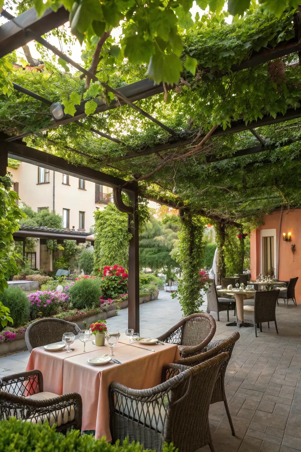 A charming patio pergola adorned with lush climbing plants.