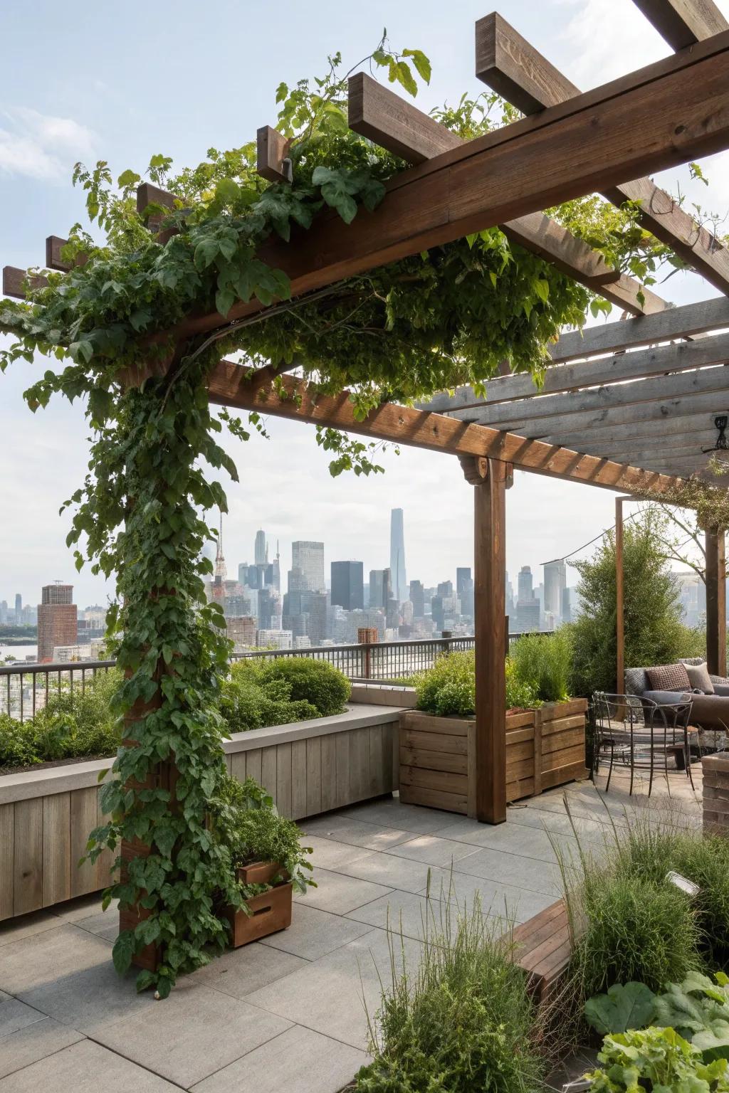 Pergolas offer a perfect blend of shade and style for your rooftop.