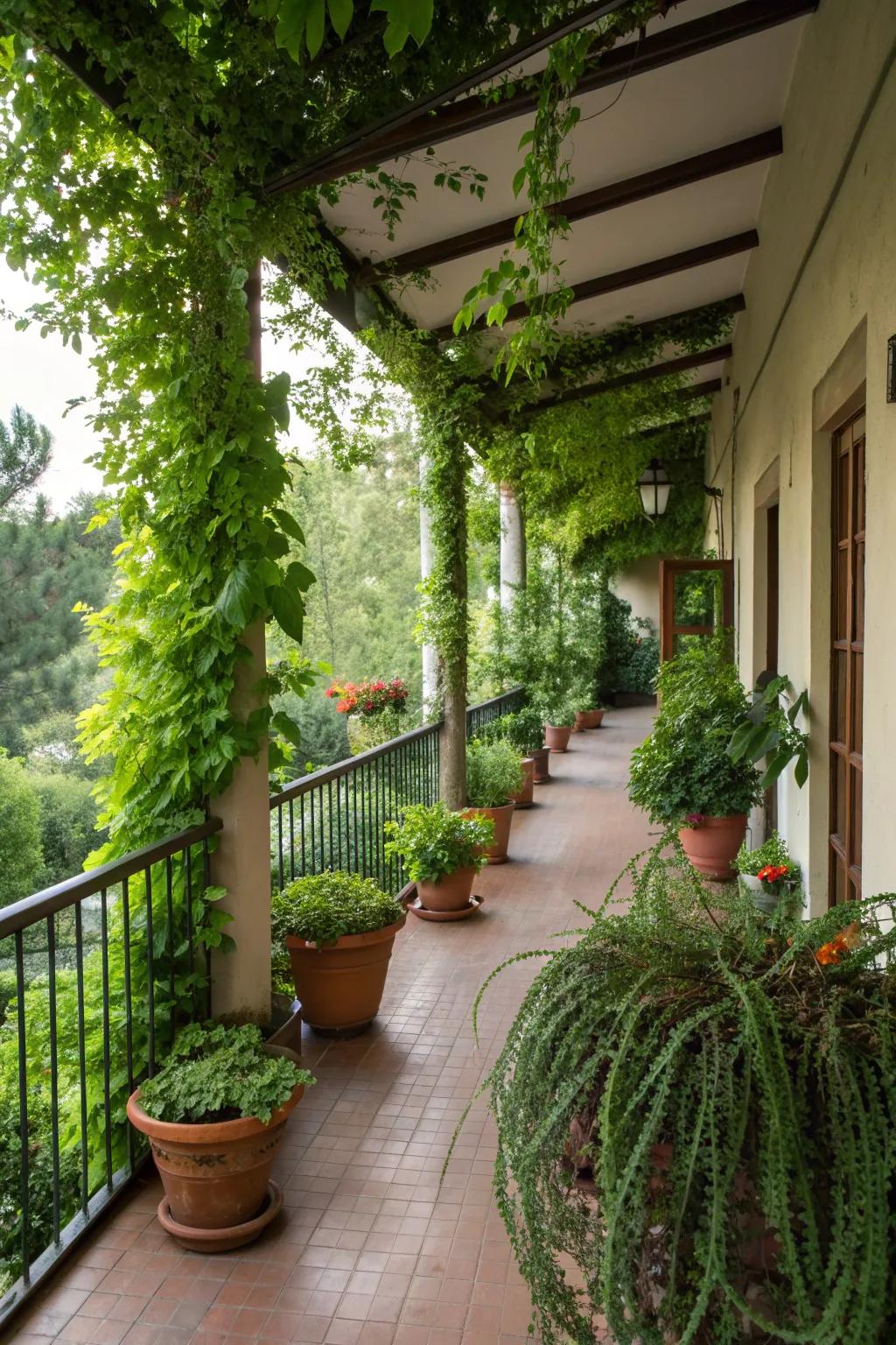 Greenery and potted plants enhancing the veranda's natural appeal.