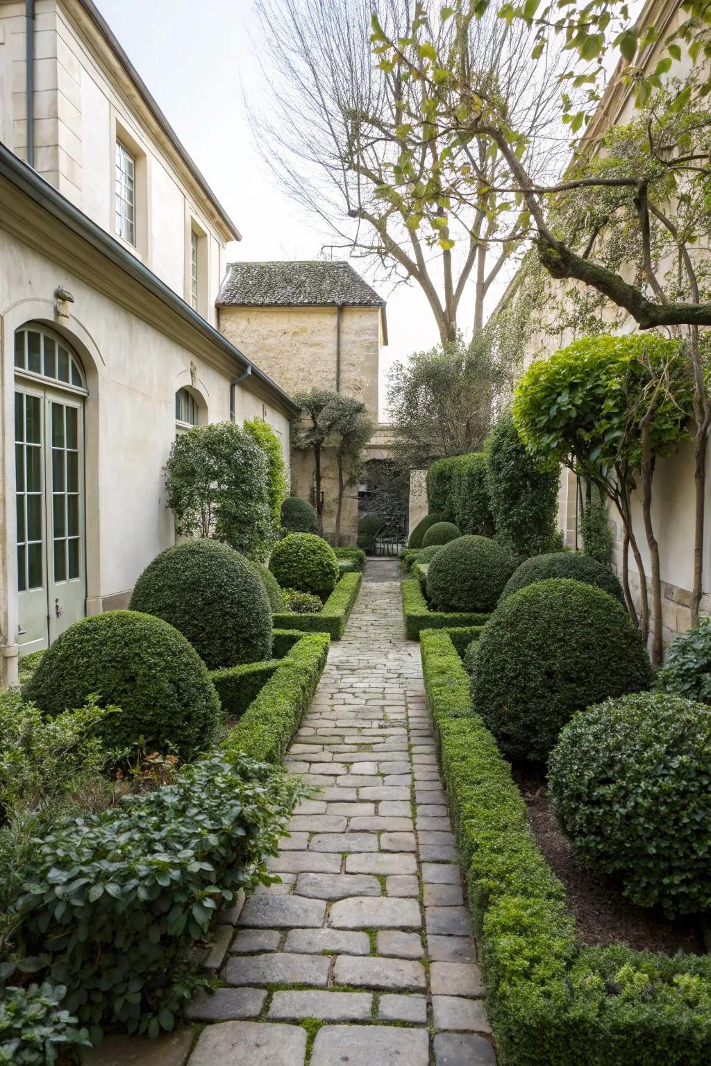 Sophisticated courtyard with perfectly shaped topiary.