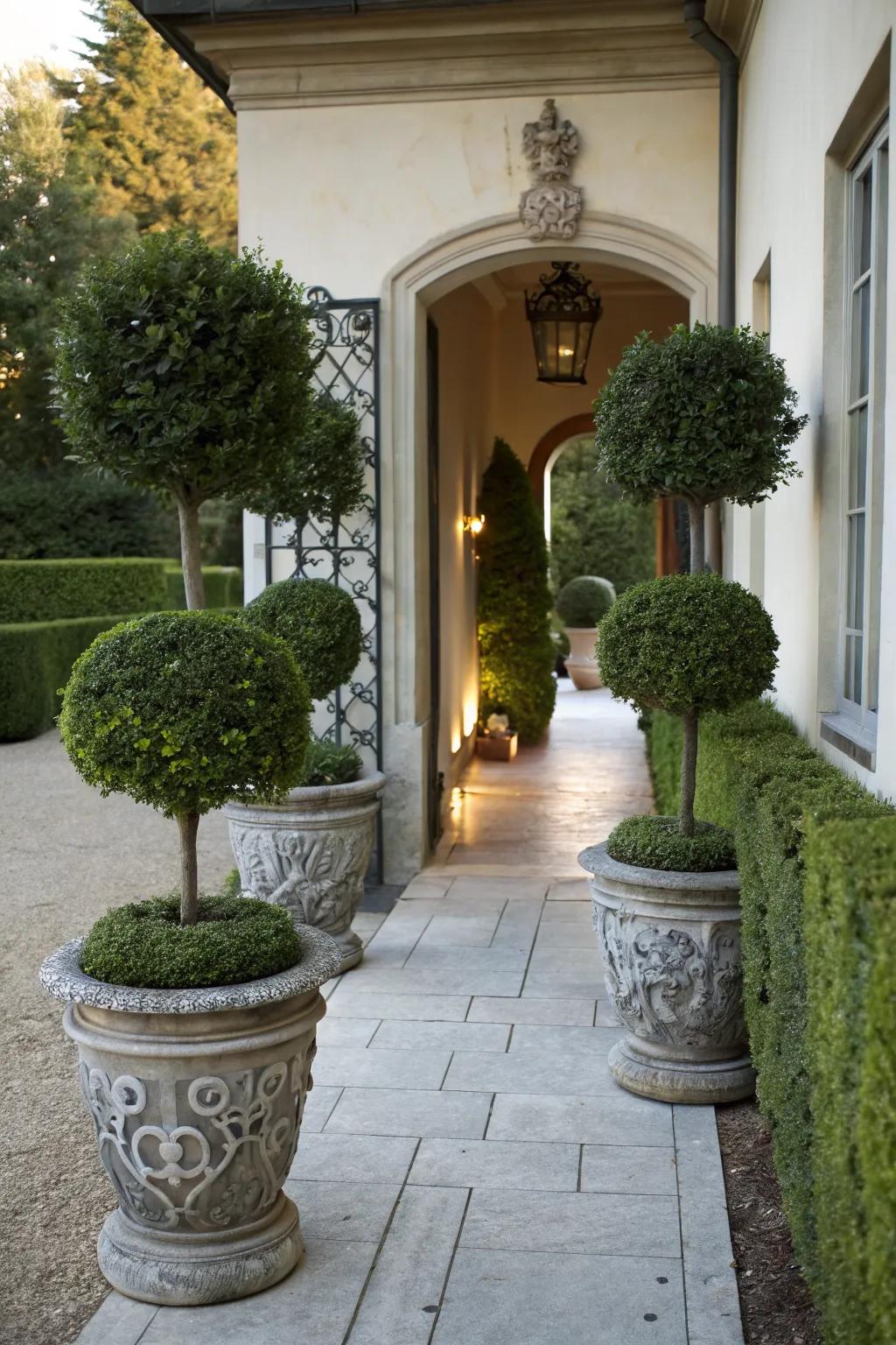 Potted topiaries bring classic elegance to small entryways.