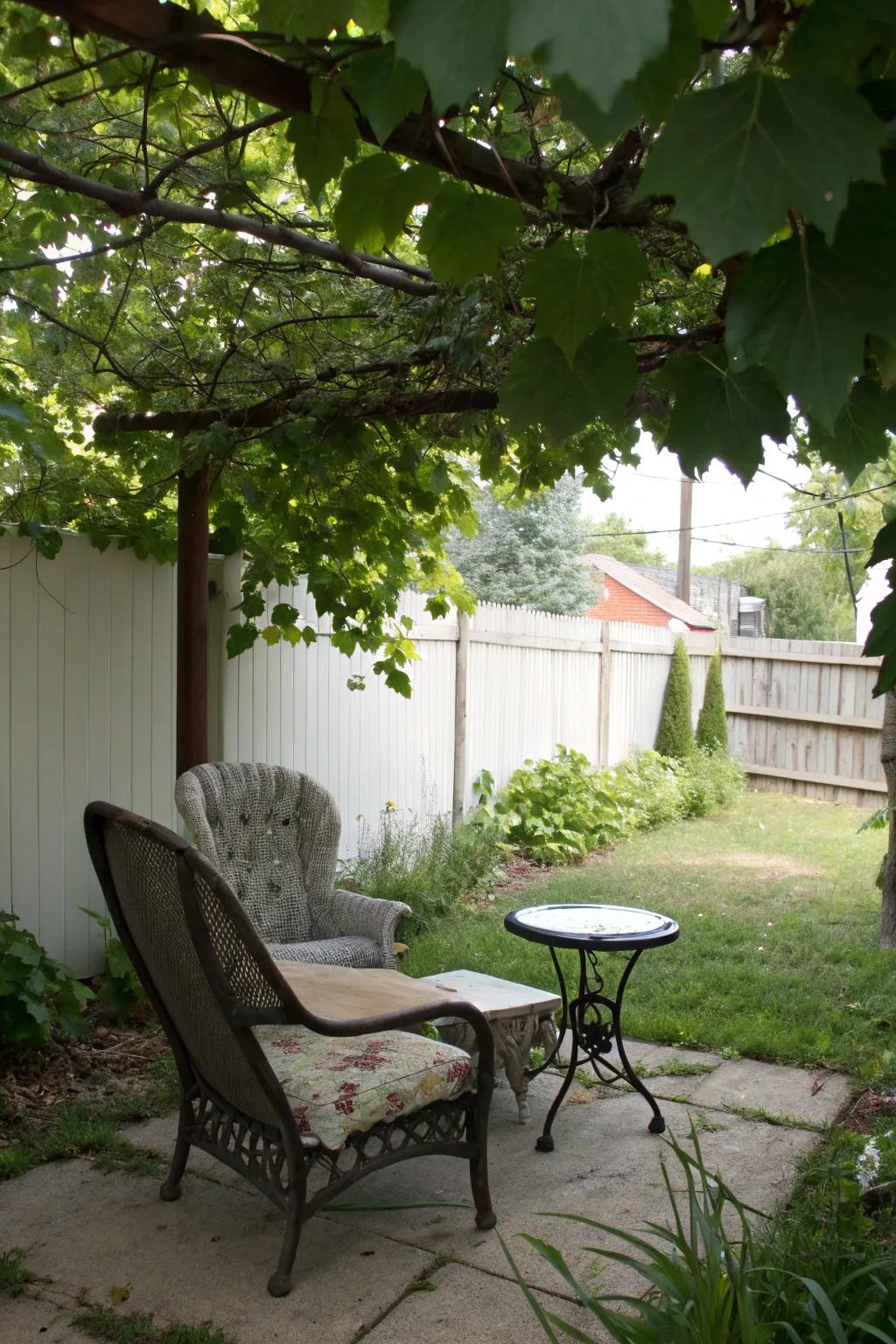 Create a relaxing nook with cozy seating for peaceful moments.