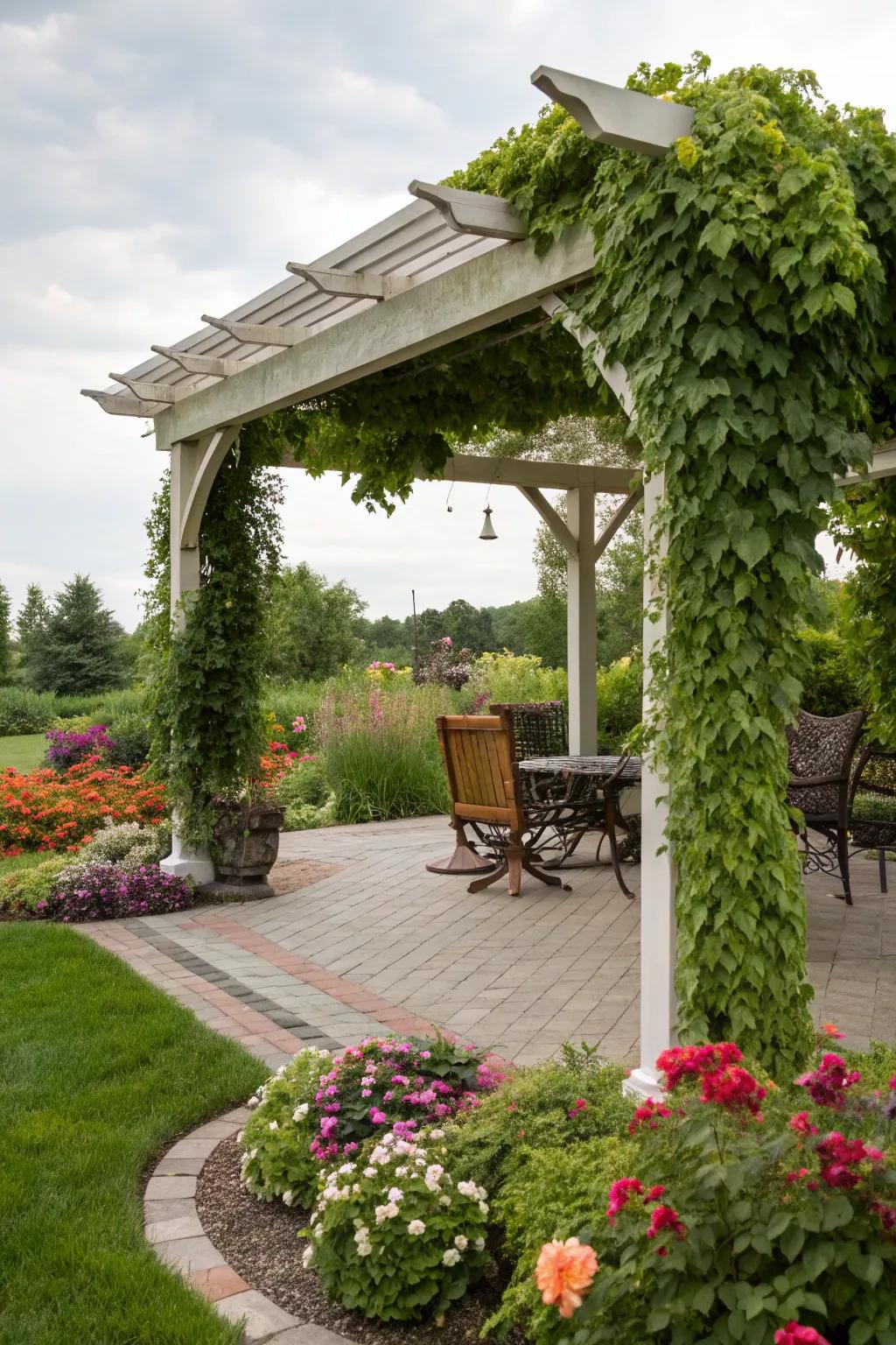 A pergola-style patio with lush climbing vines.