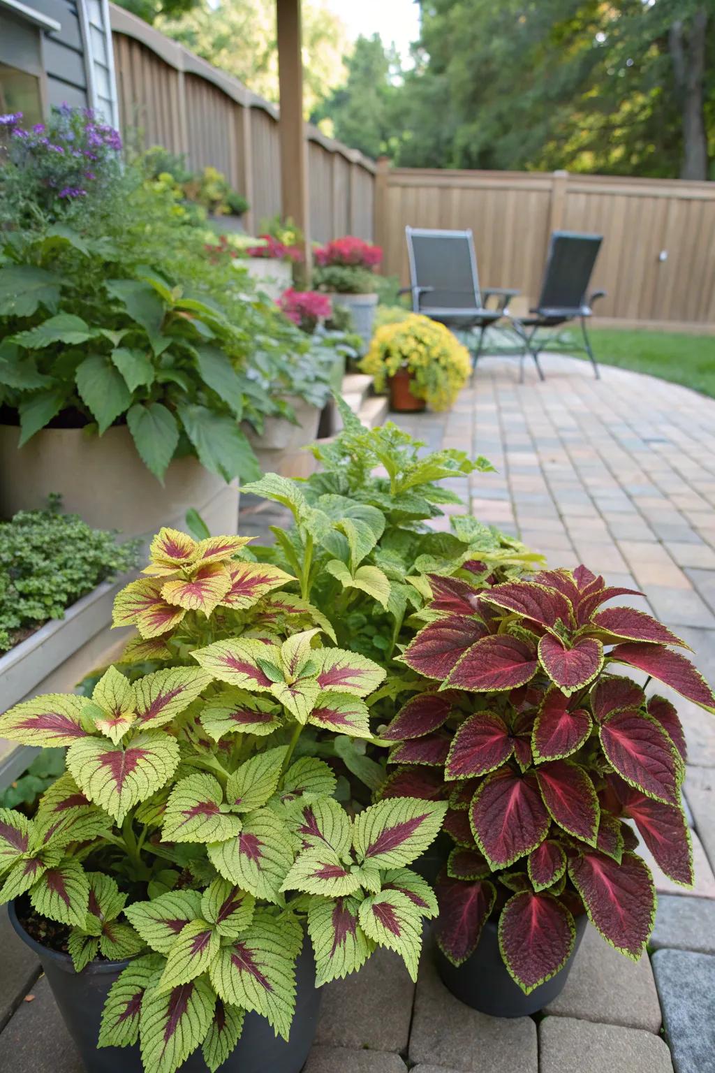 Vibrant coleus adding color and fullness to the arrangement.