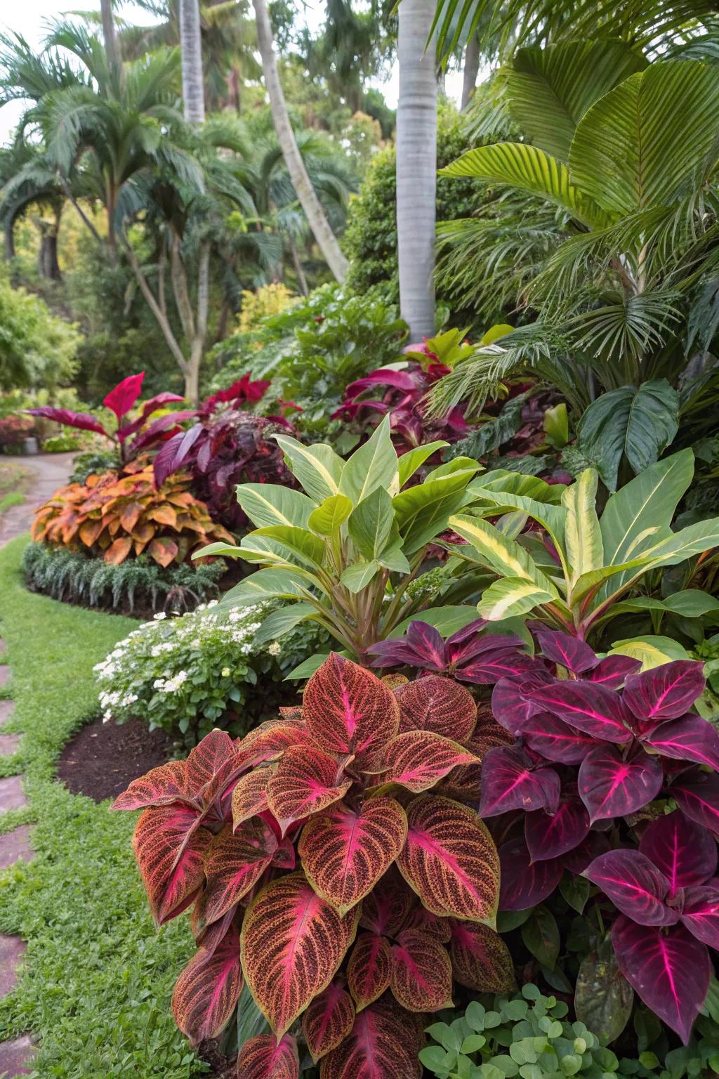Brighten your garden with colorful foliage like coleus and crotons.