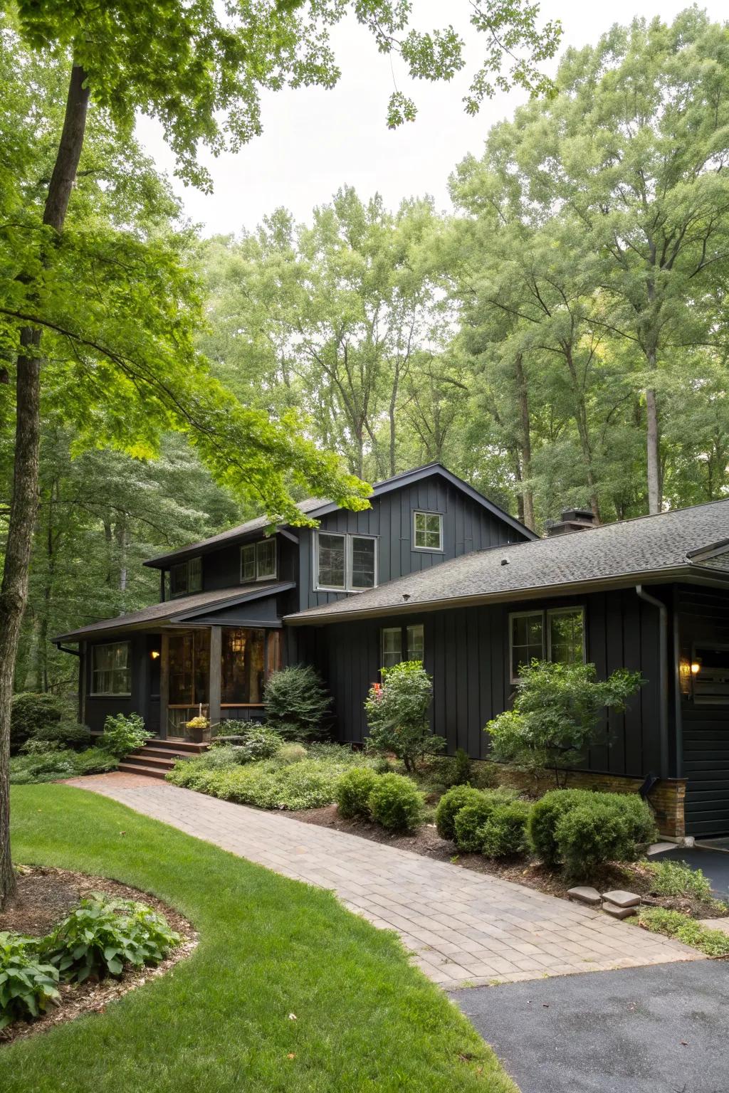 A bold ranch home featuring dark vinyl siding, creating a stunning contrast with the landscape.