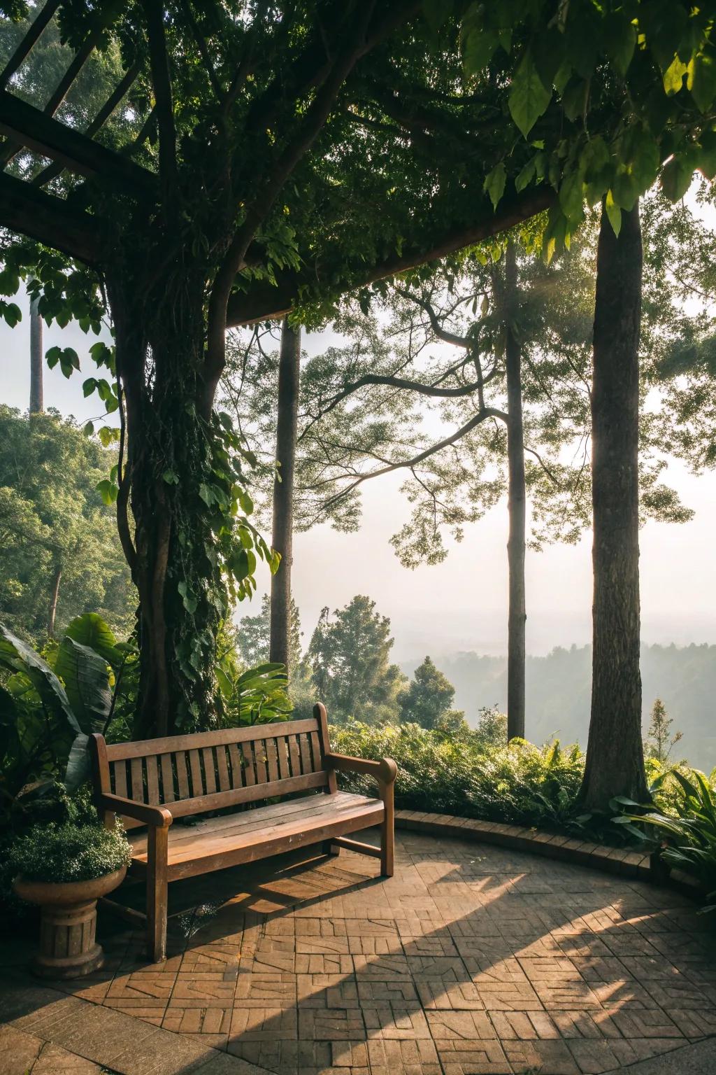 A wooden bench nestled under trees offers a perfect spot to relax.