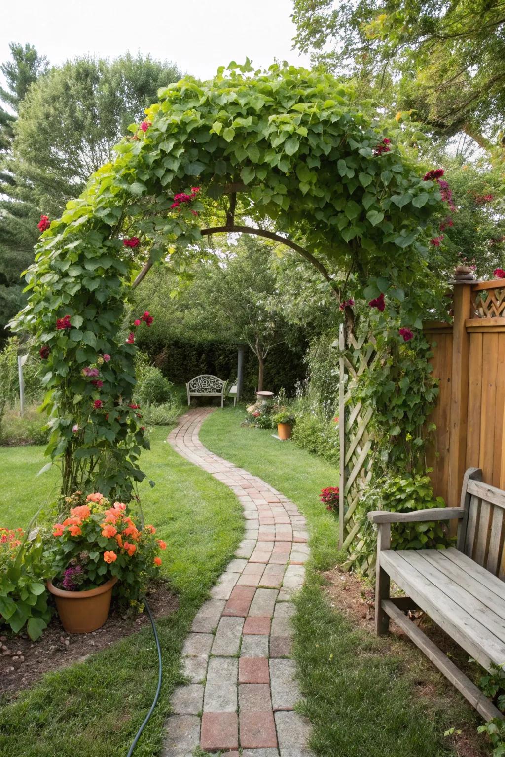 Garden arches create whimsical entrances in grassy gardens.