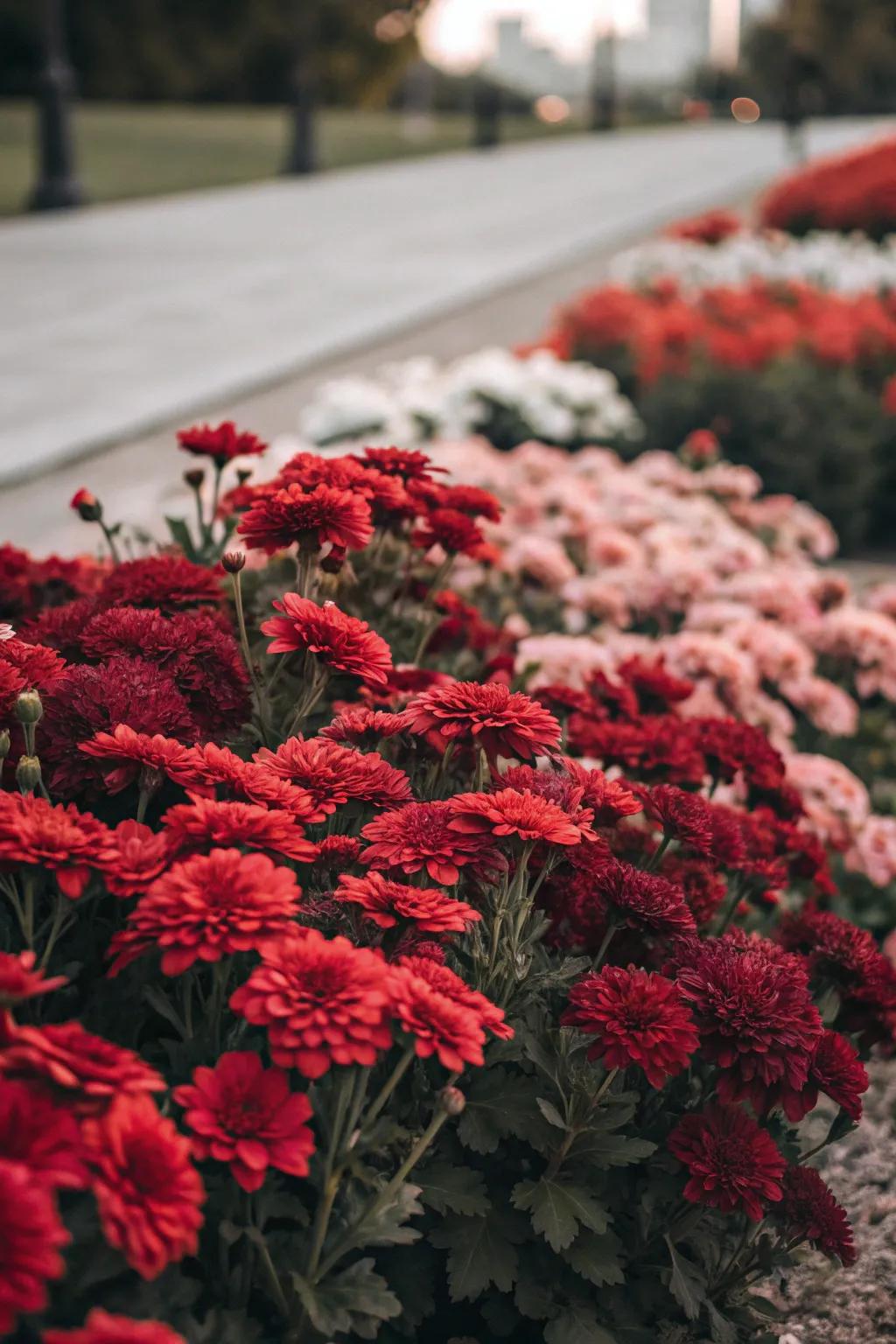 Monochrome beds make a bold garden statement.