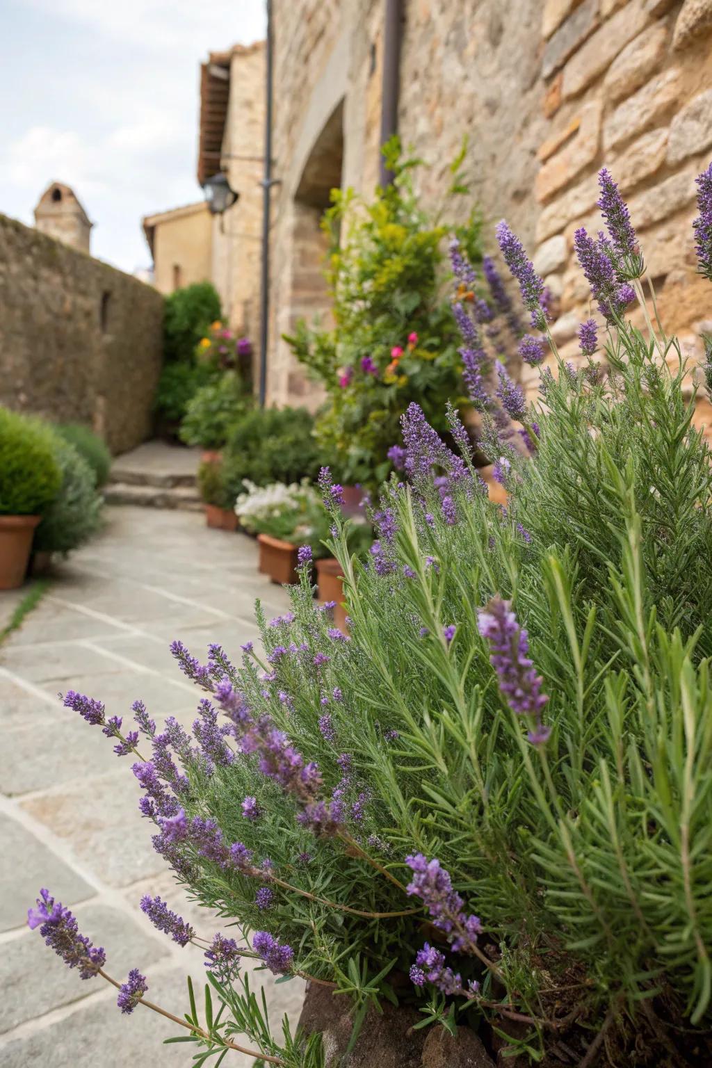 Aromatic herbs add fragrance and beauty to your garden.