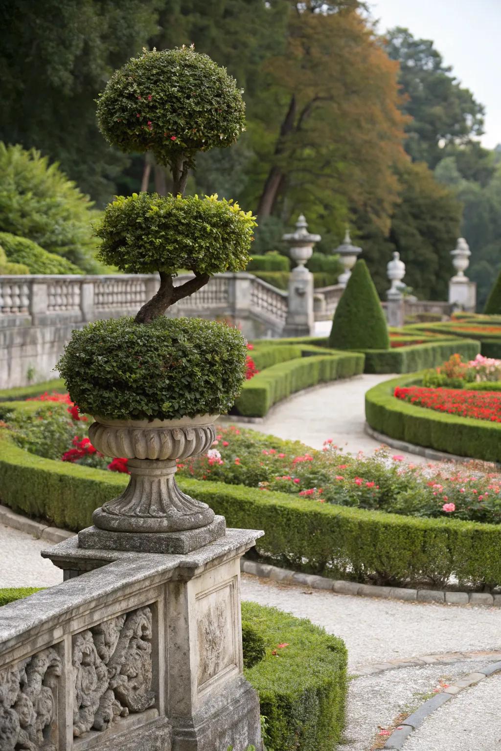 Nandina topiary serves as a creative and artistic garden centerpiece.