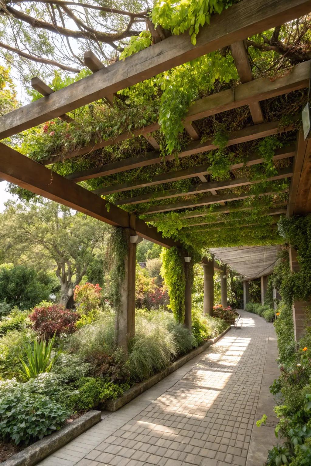 A living roof offers insulation and a vibrant, eco-friendly pergola top.
