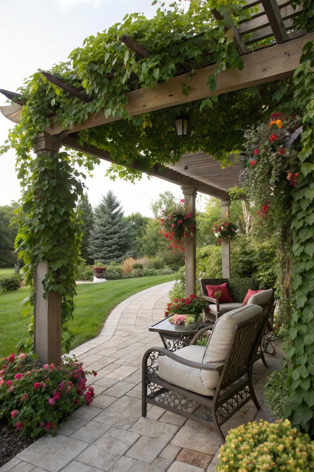 Pergolas offer a stylish way to add privacy and shade to your backyard.