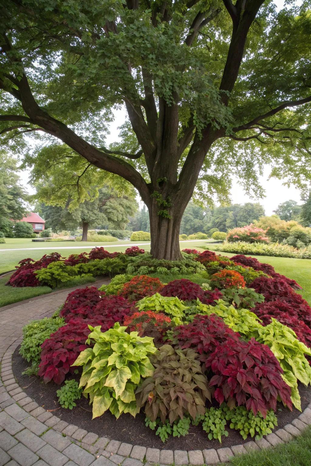 Transform tree bases with vibrant coleus rings.
