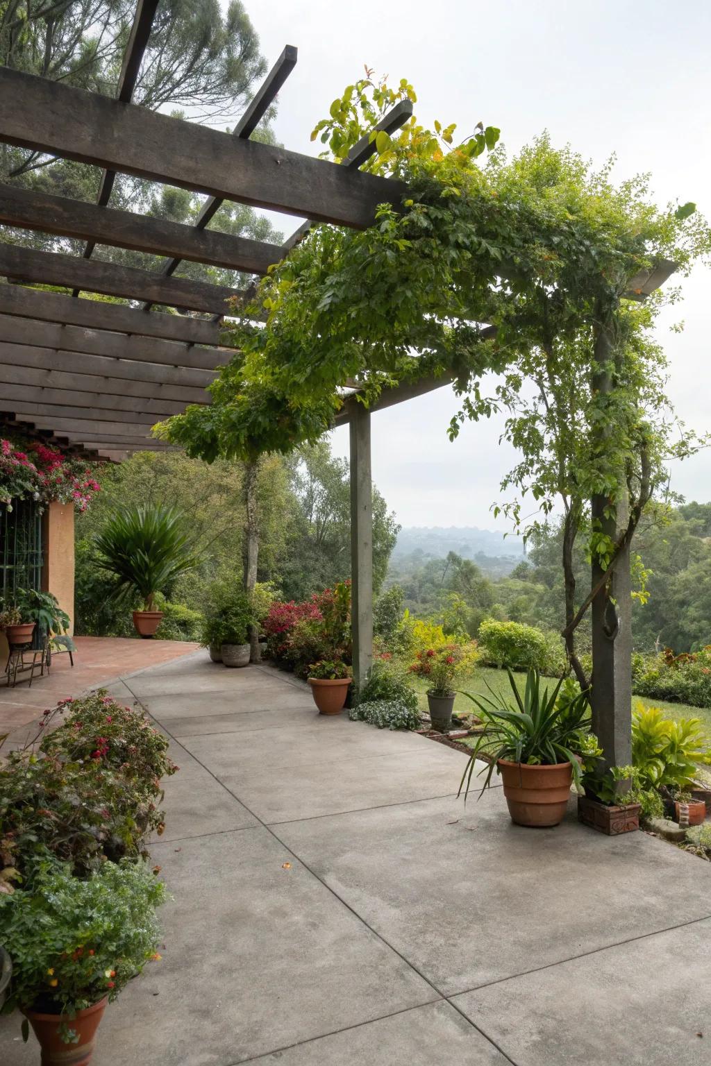 Integrate lush greenery for a garden-inspired patio.