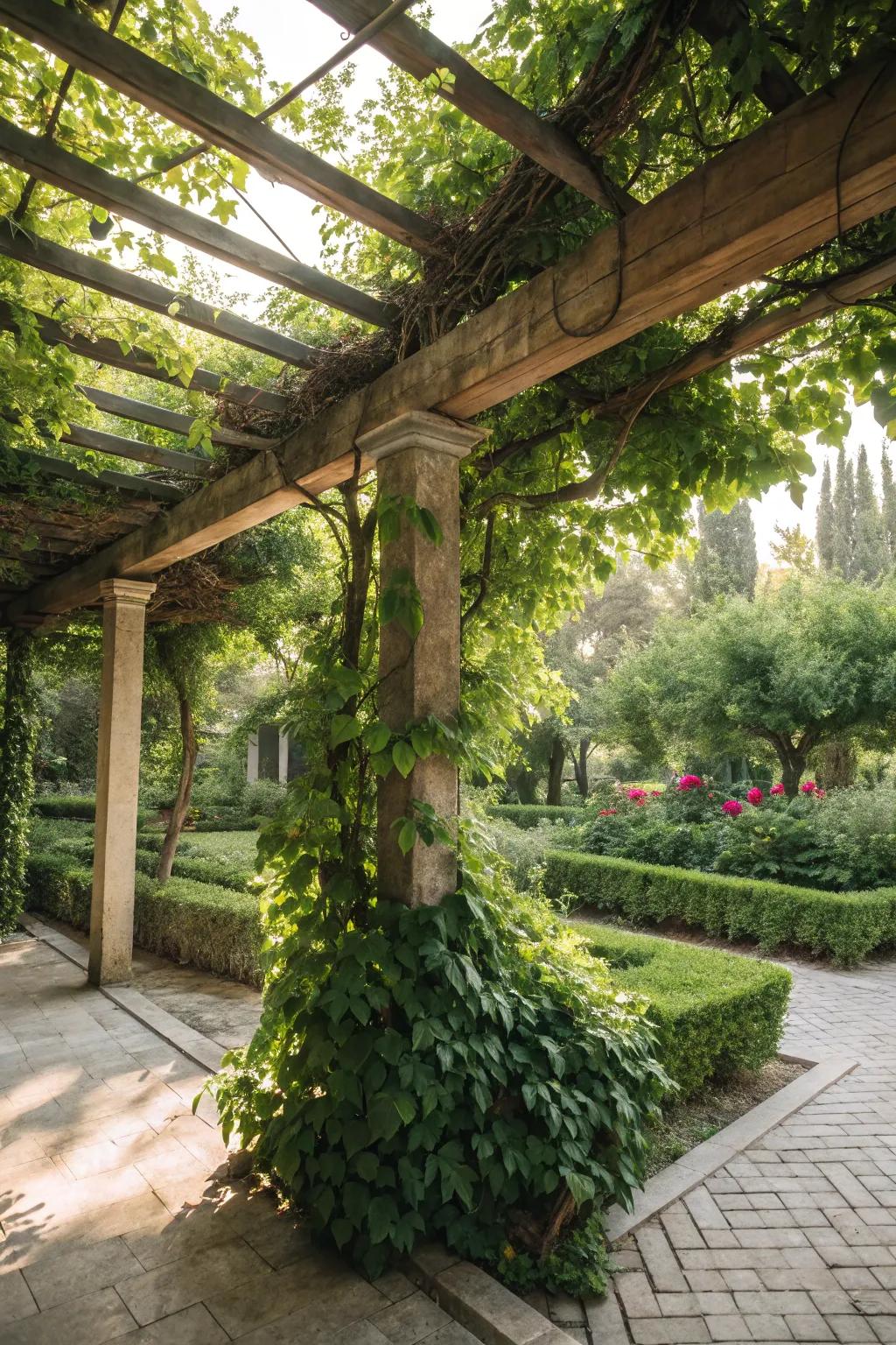 Let nature take over with a pergola draped in vibrant greenery.