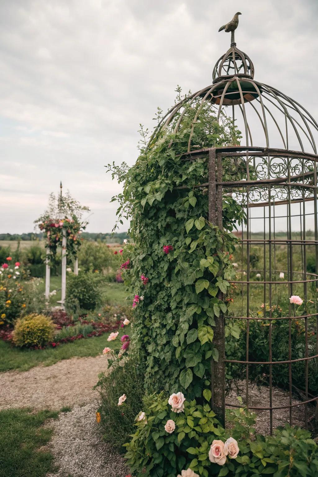 A vintage birdcage serves as a charming trellis for climbing plants.