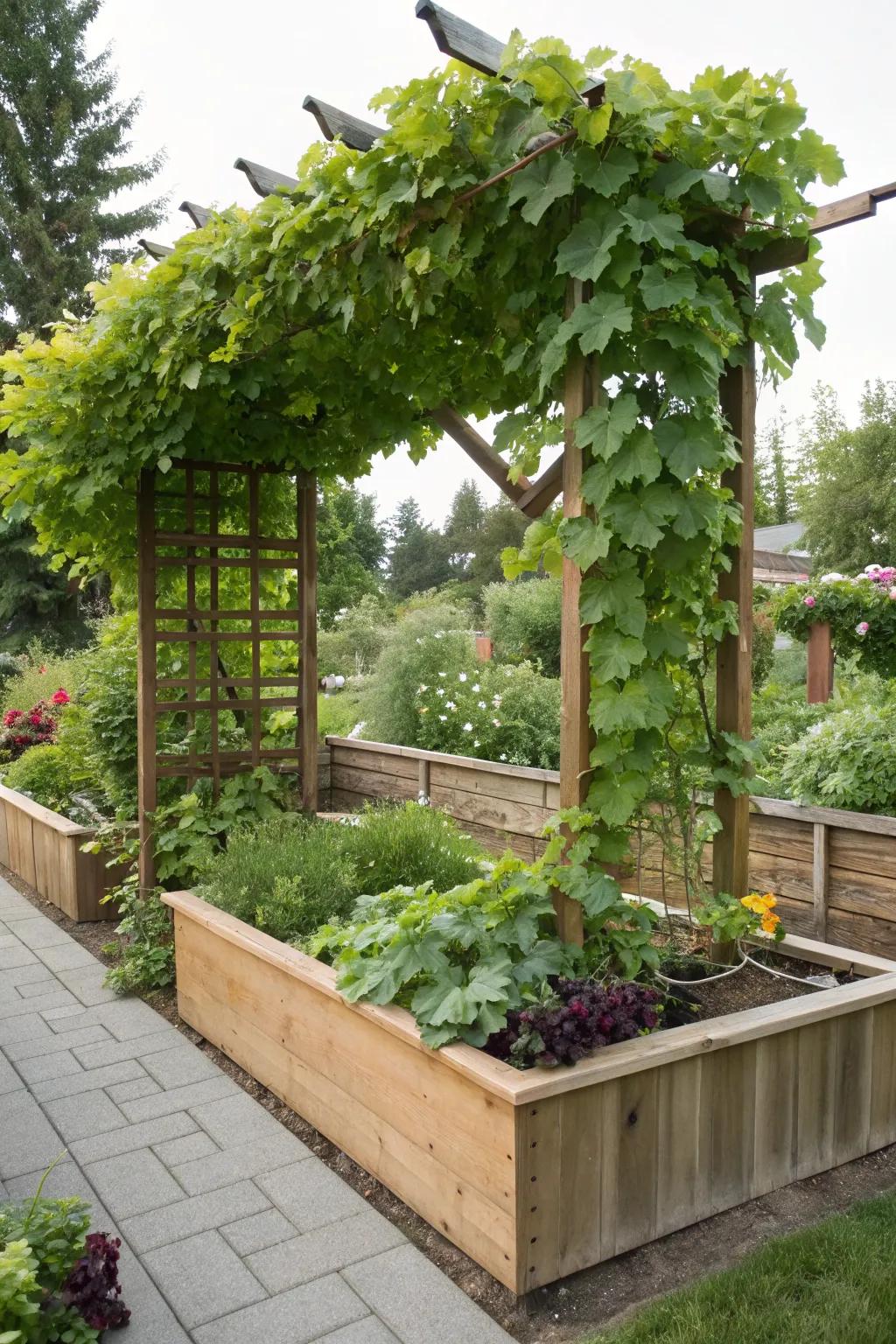 Maximize your gardening space with a raised bed and trellis combo.