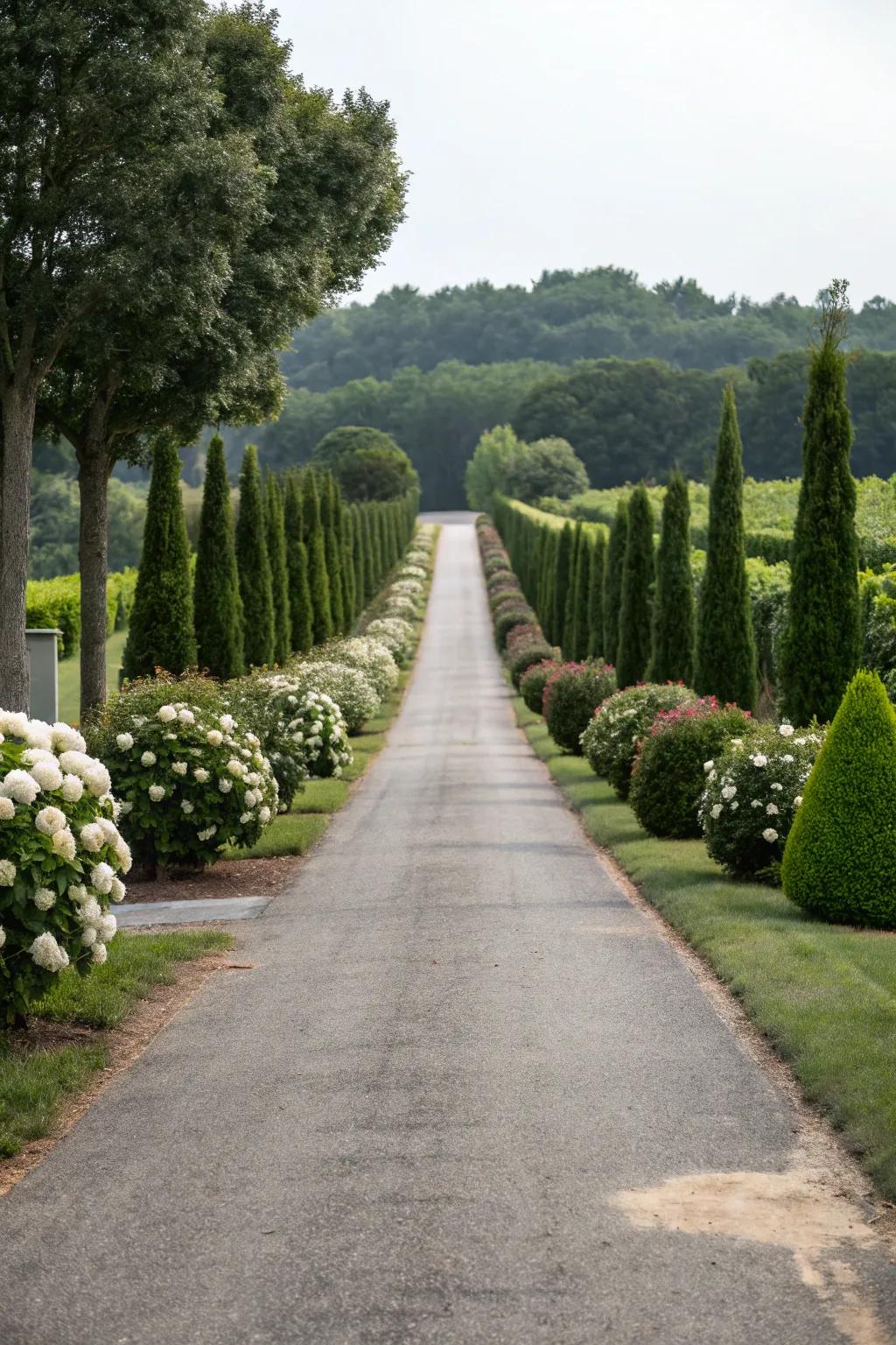 Achieve elegance with symmetrical plantings along your driveway.