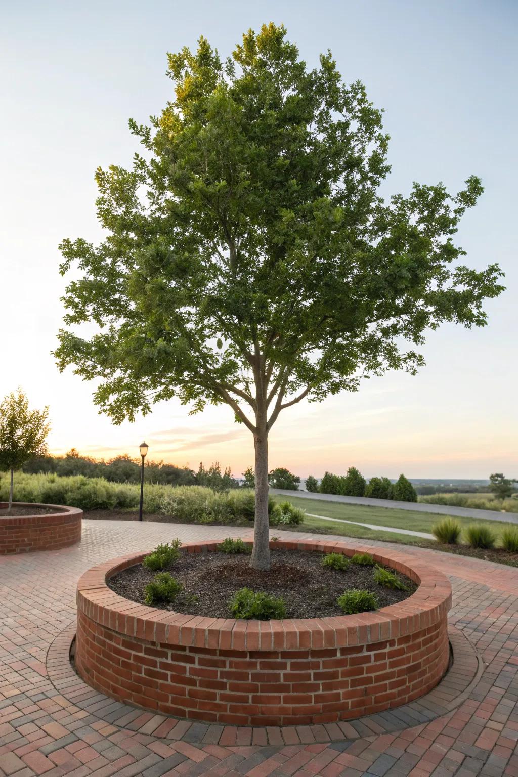 Bricks provide a clean, defined edge around trees.
