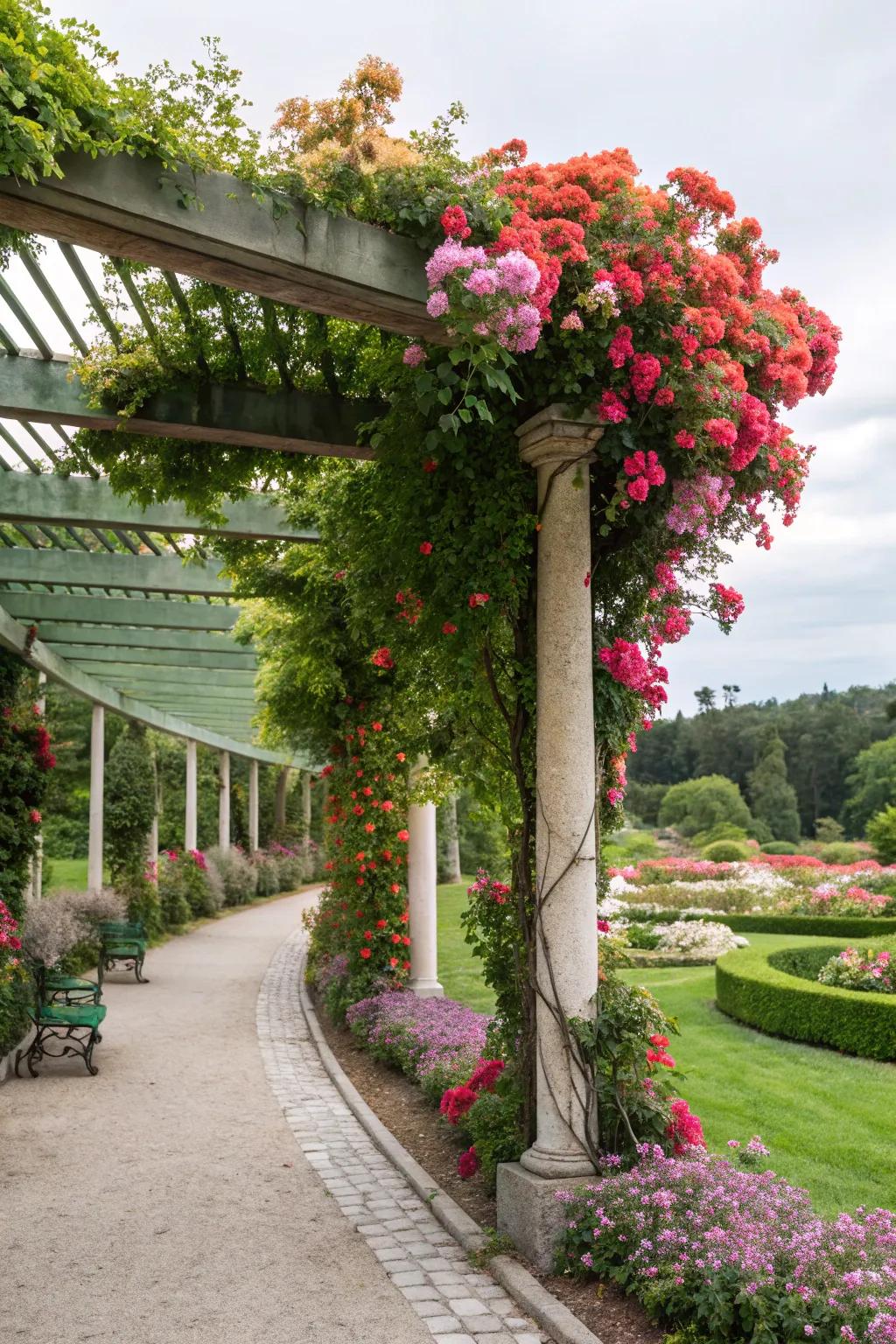 A charming pergola adorned with lush climbing plants in a garden.