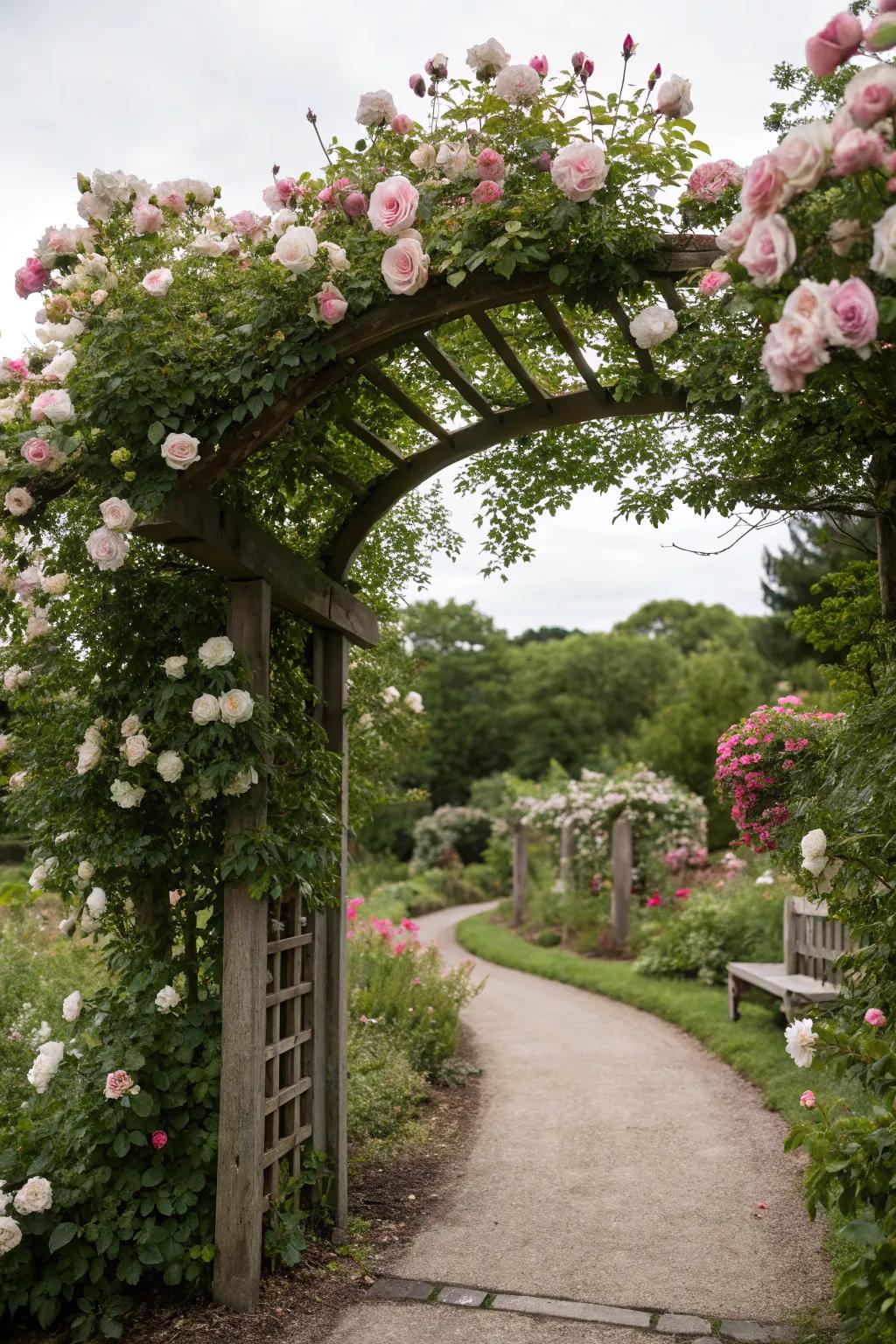 Arbors and trellises: adding vertical charm to your garden.