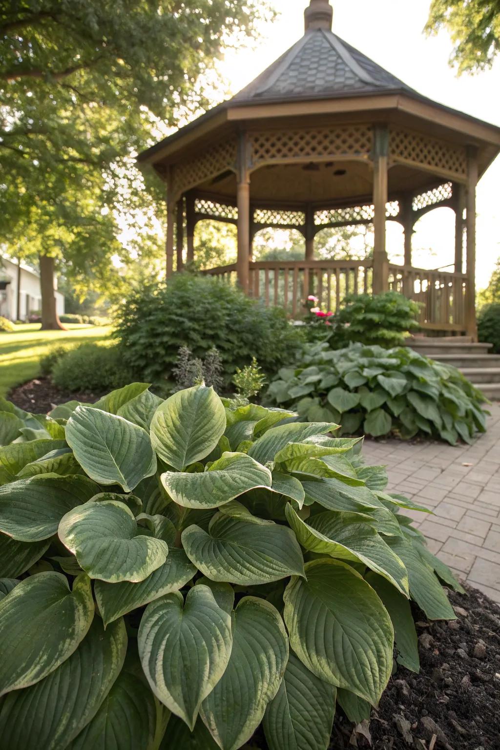 Hostas provide serene greenery at the base of this charming gazebo.