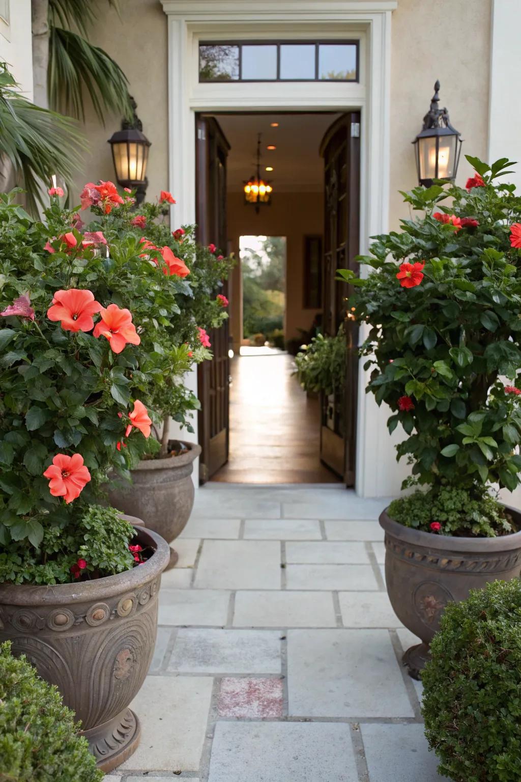 Potted hibiscus flanking the entrance for a tropical welcome.
