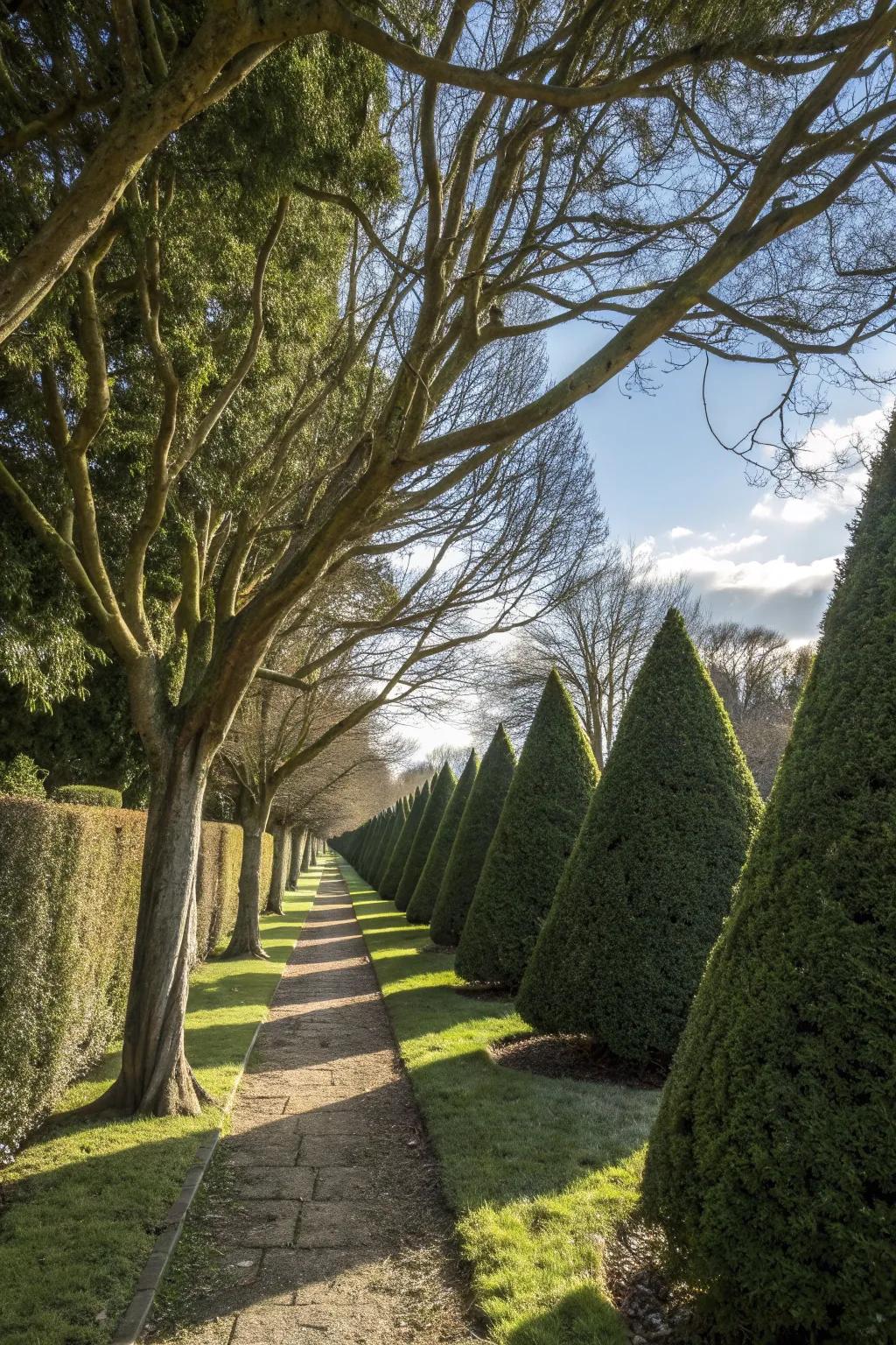 Maximize sunlight with inverted V-shaped hedge trimming.