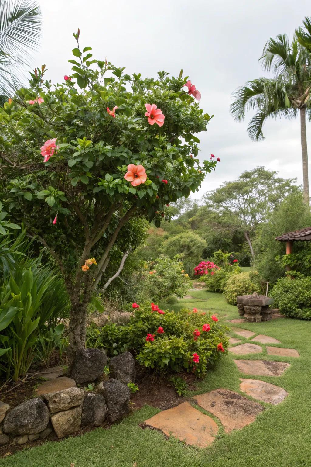 Make hibiscus the star of your garden with a strategic focal point.