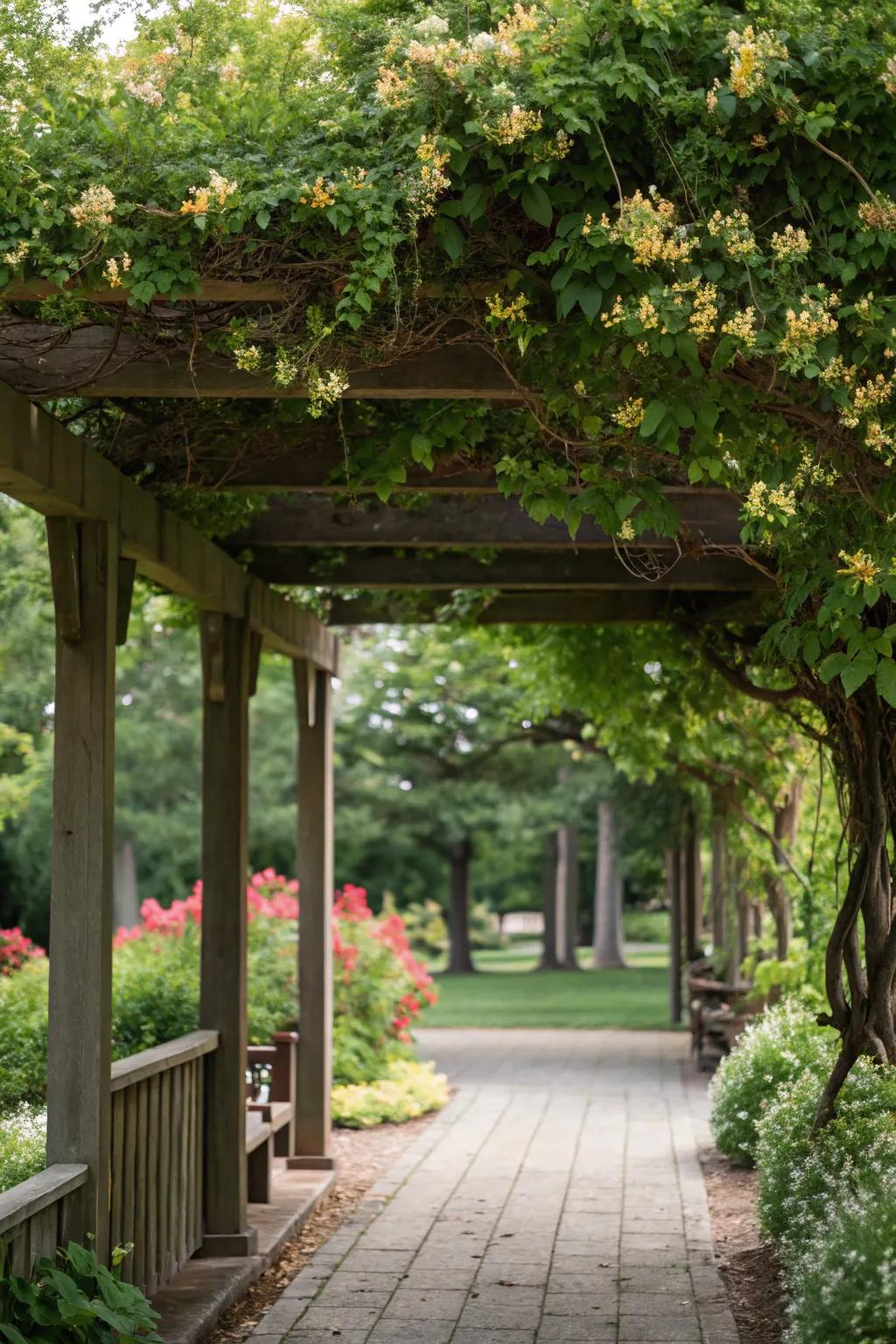 A pergola transformed into a cozy retreat by a lush honeysuckle canopy.