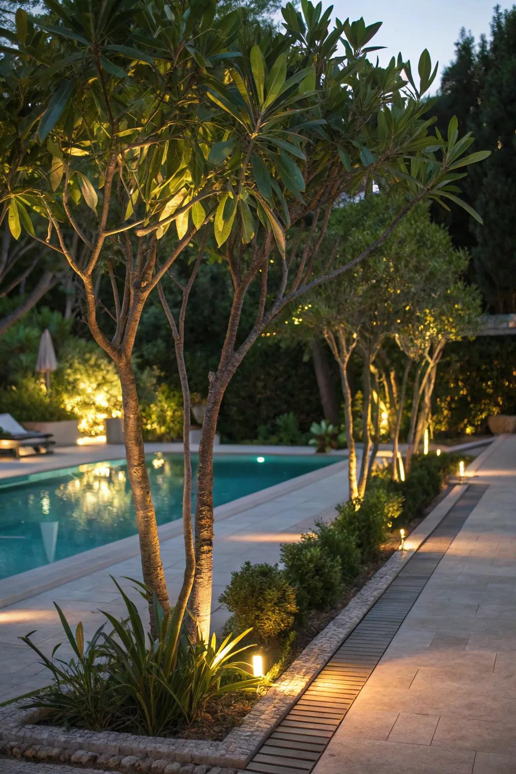 Accent lights bring focus to the natural beauty around your pool.