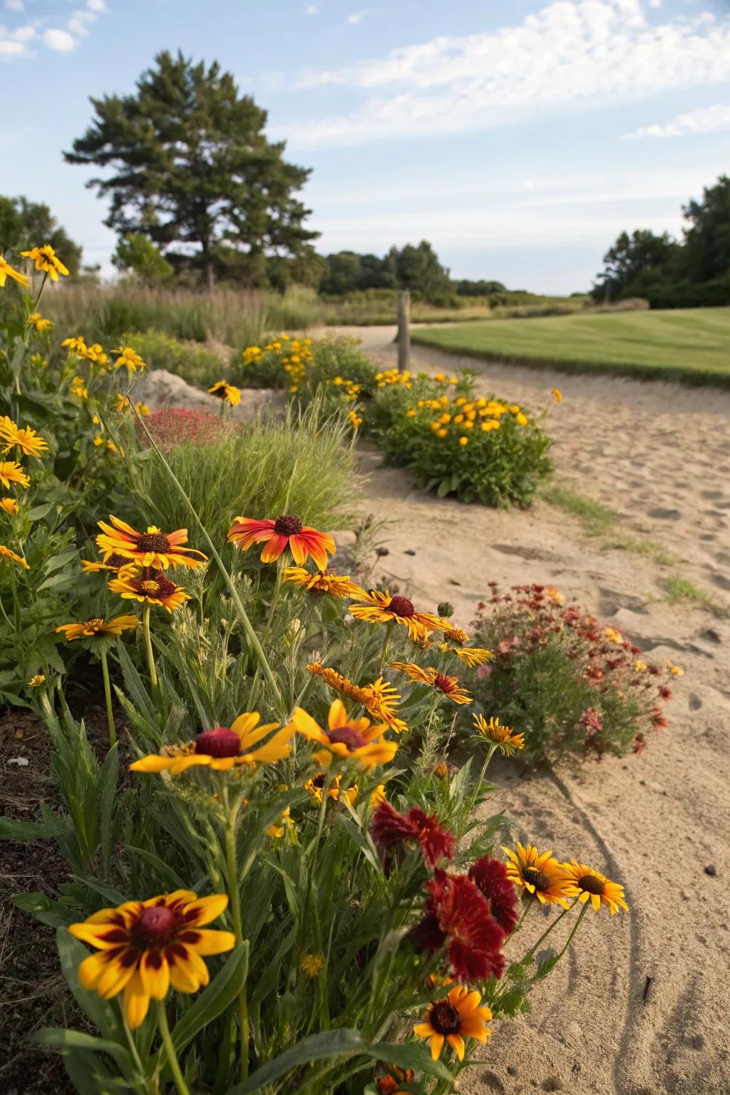 Colorful blooms create a lively and inviting atmosphere.