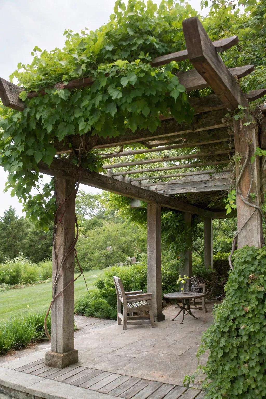 A wooden pergola adds both shade and elegance.