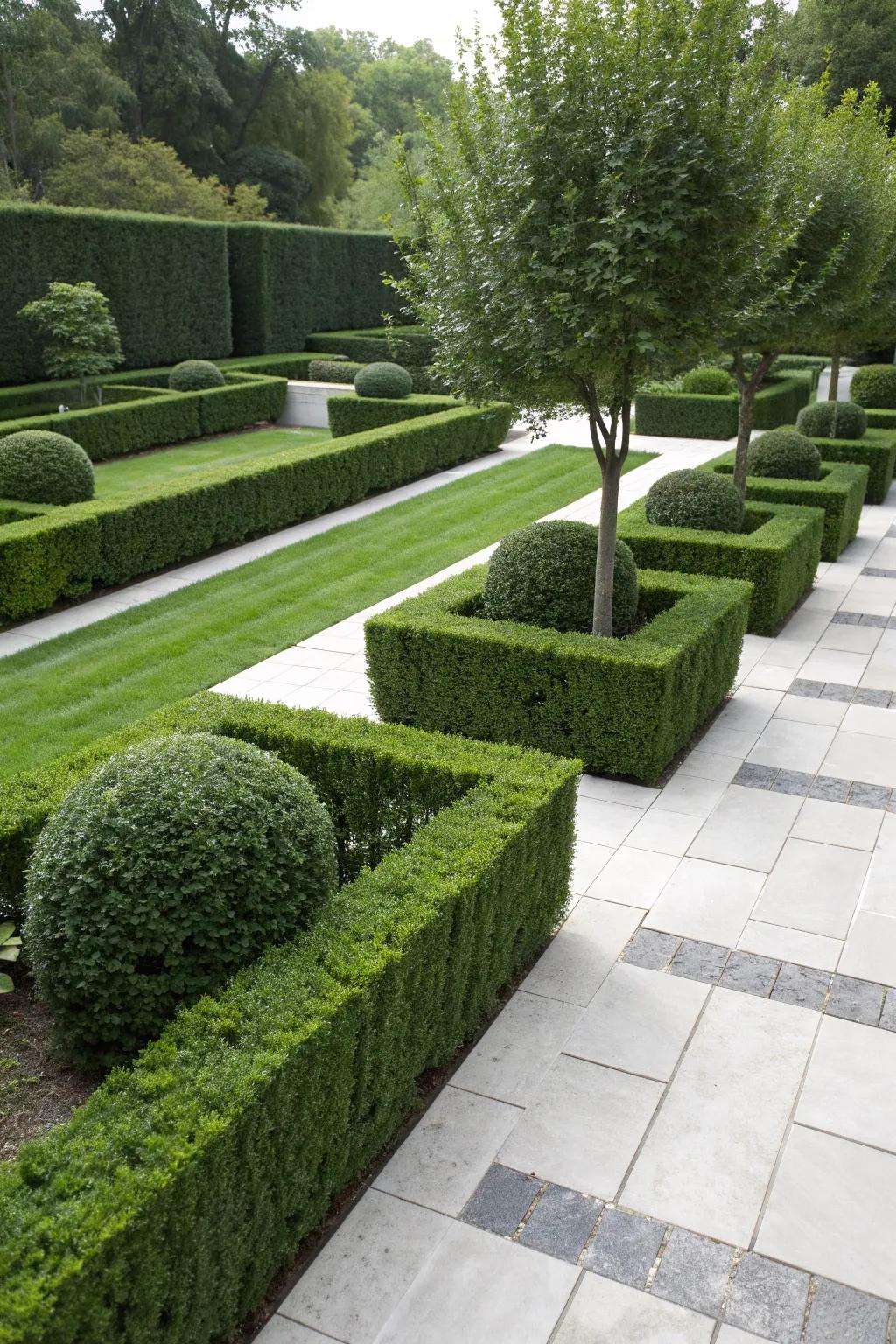 Boxwood hedges offer texture and structure.