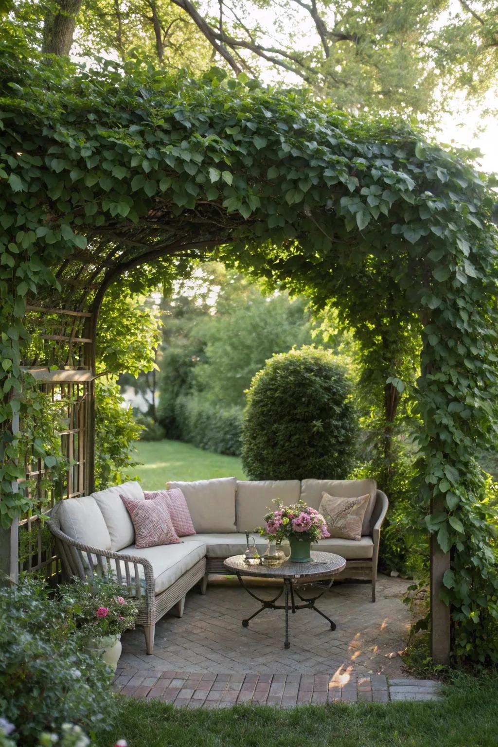 A tranquil garden seating area surrounded by natural privacy fences.