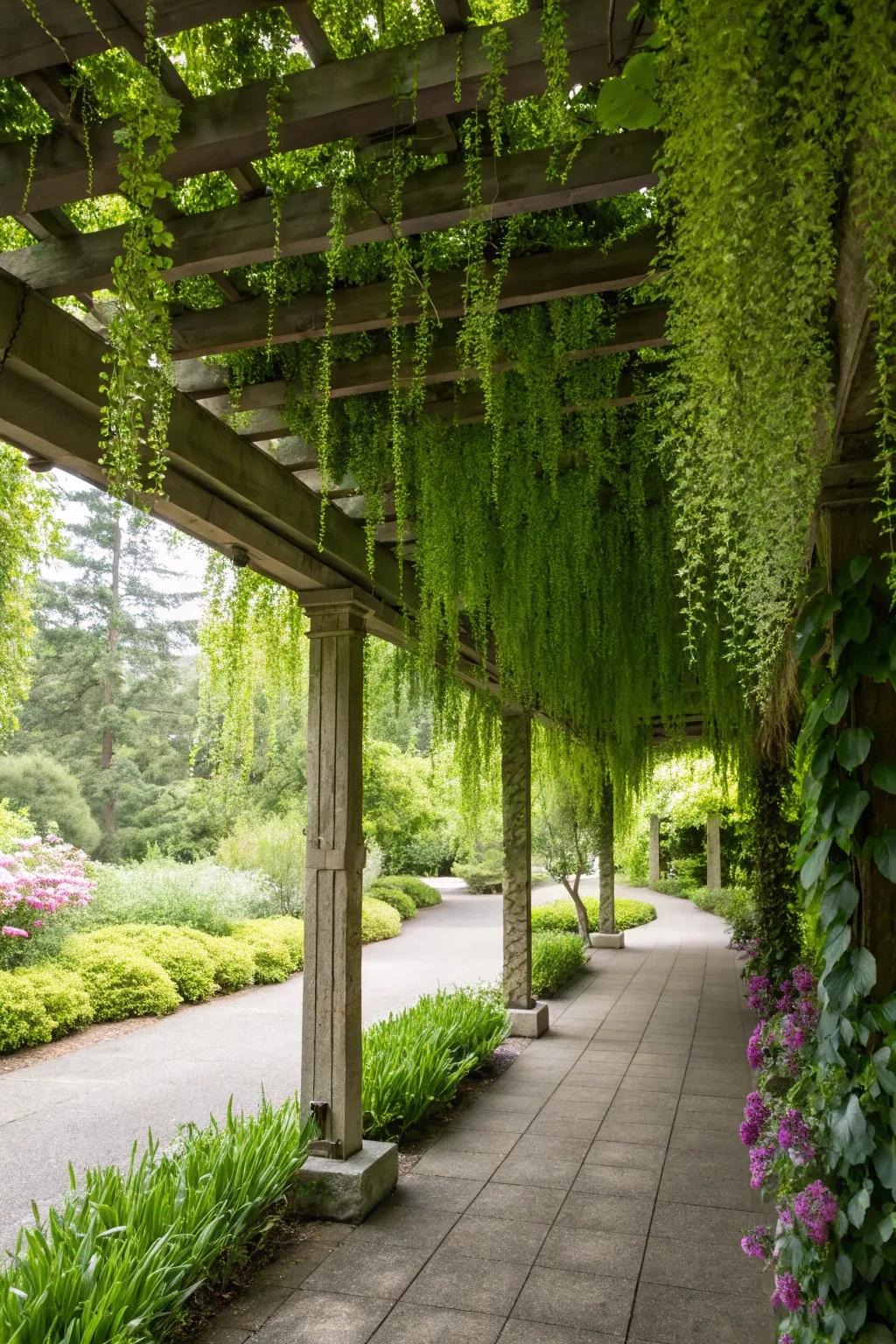 Hanging plants add greenery without sacrificing floor space.