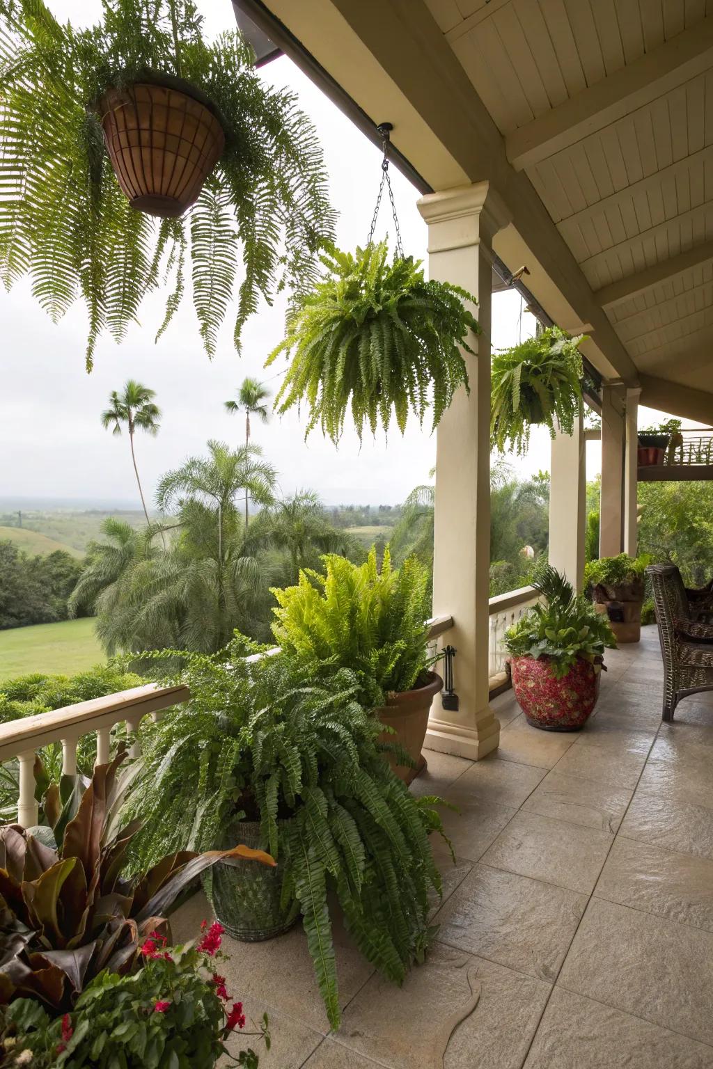Lush plants bring life to your lanai.