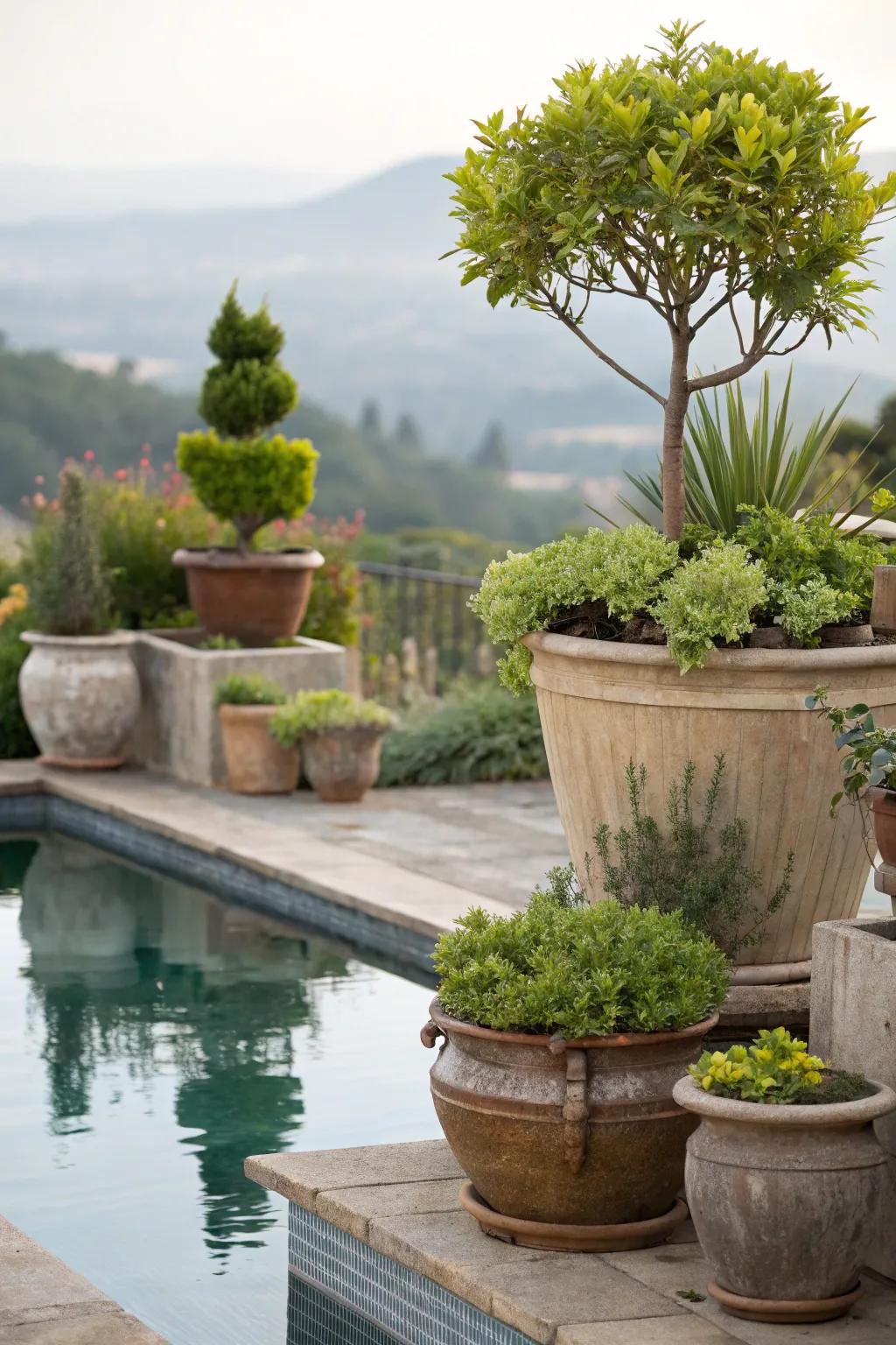 Mix plant heights for a dynamic poolside arrangement.