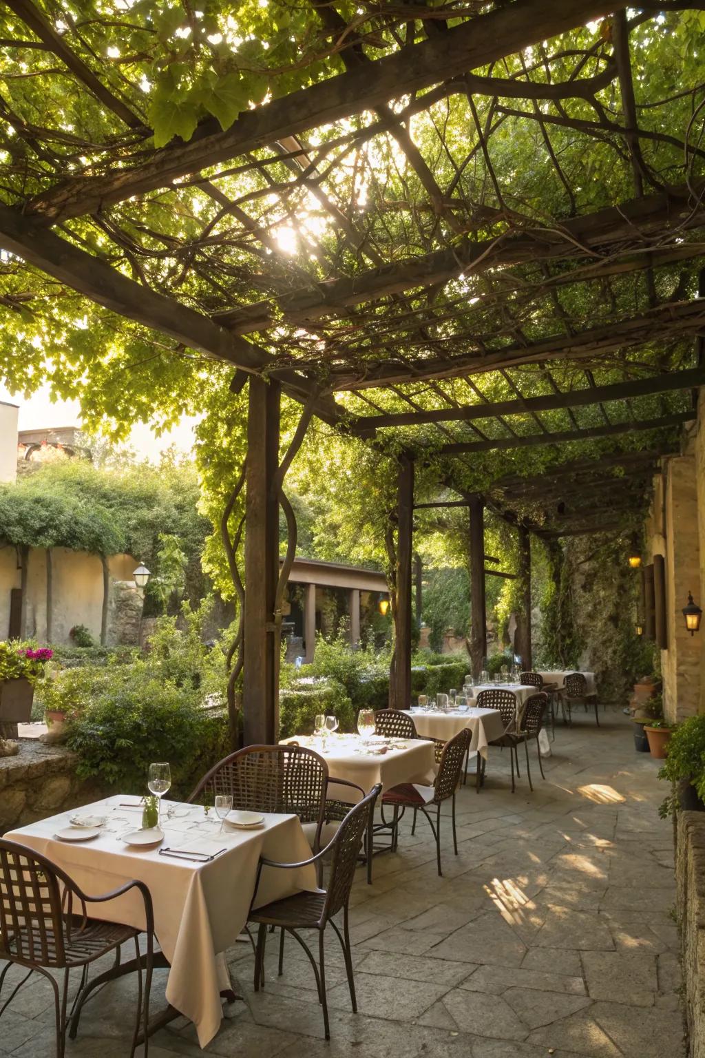 A pergola creates a cozy and intimate dining nook.