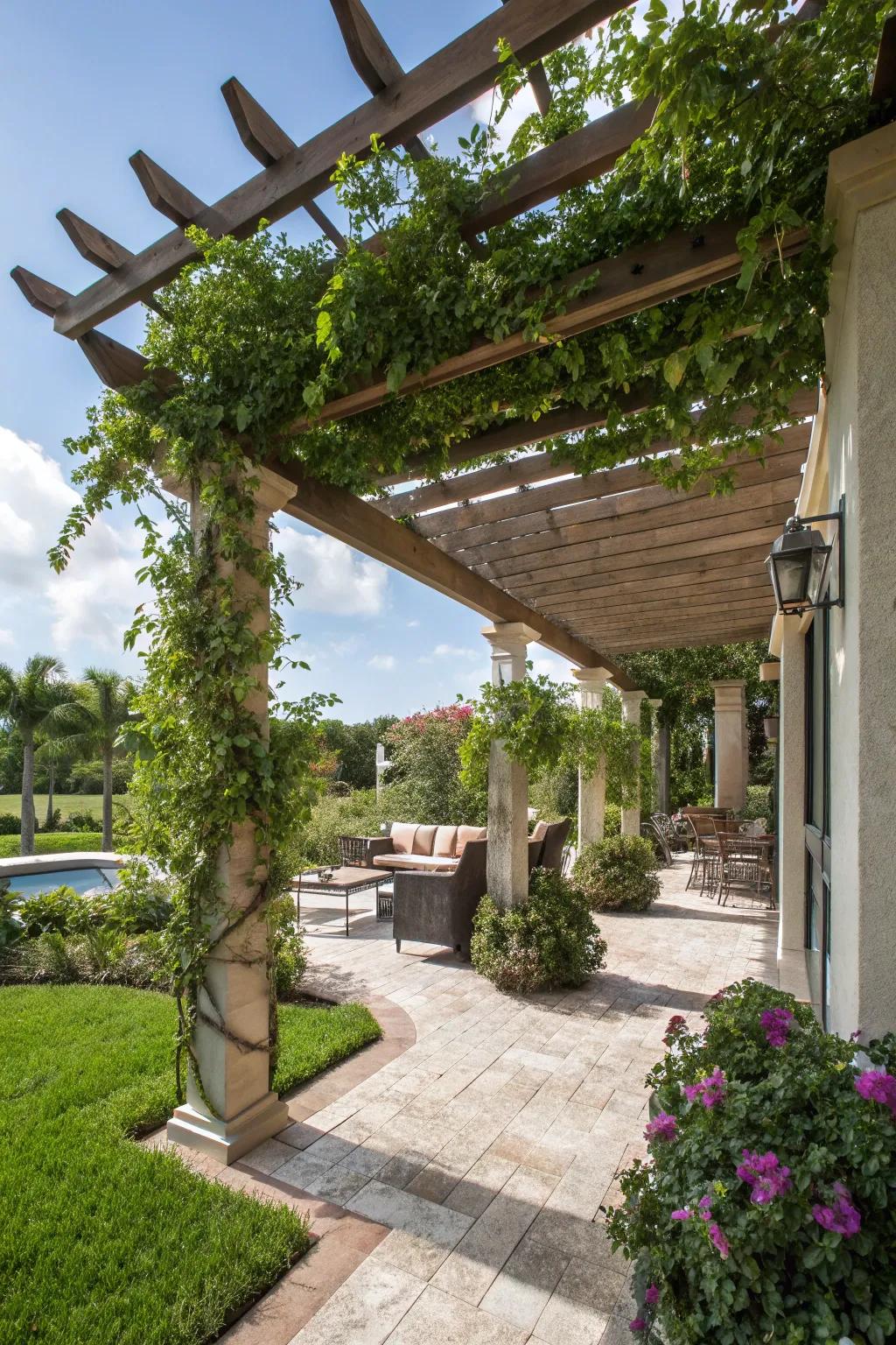 A pergola-covered patio with beautiful climbing plants.