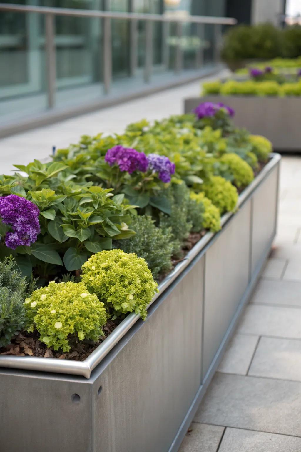 A modern metal-edged flower bed with lush greens and purples.