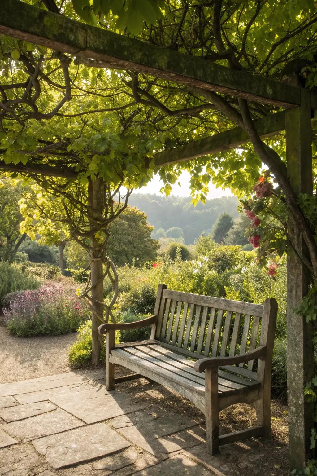 Rustic wooden bench in a garden