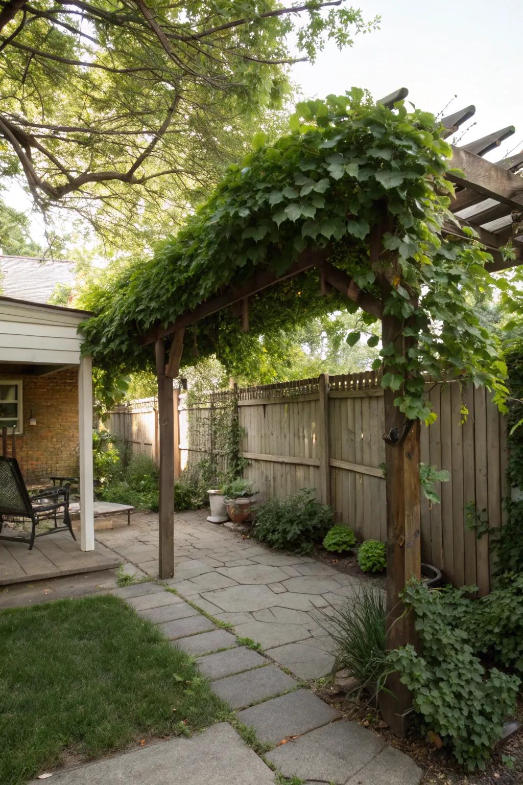 A pergola with vines creates a cozy, shaded retreat.