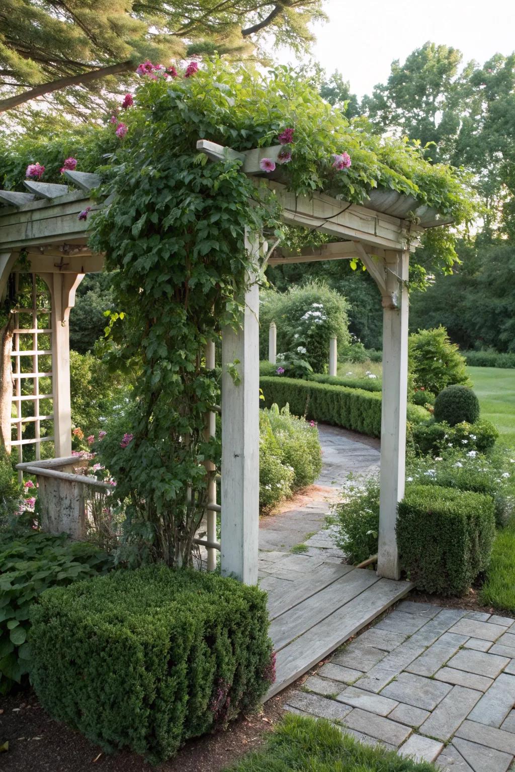 A pergola adds structure and shade to your small garden corner.