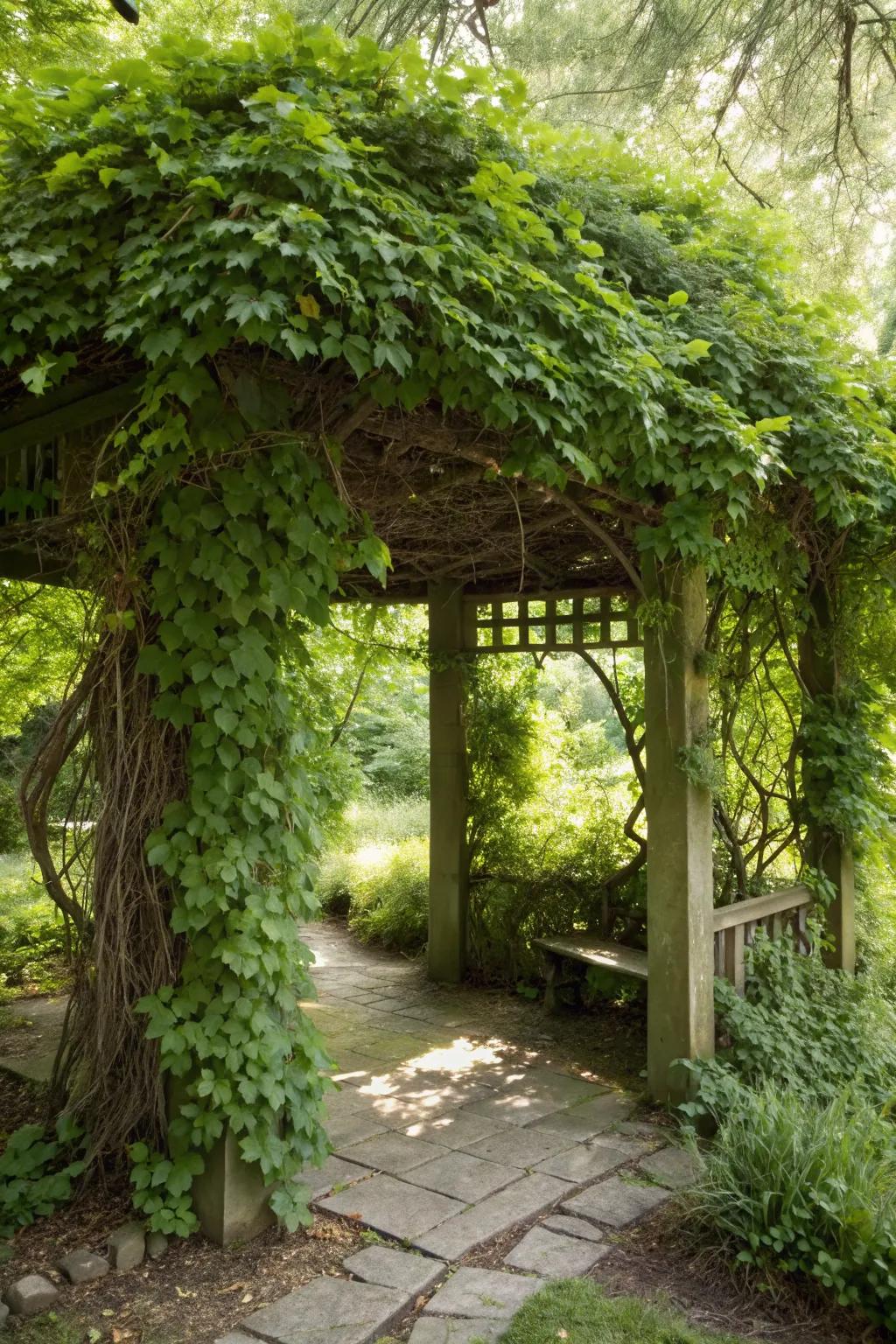 A pergola draped in greenery offers shade and tranquility.