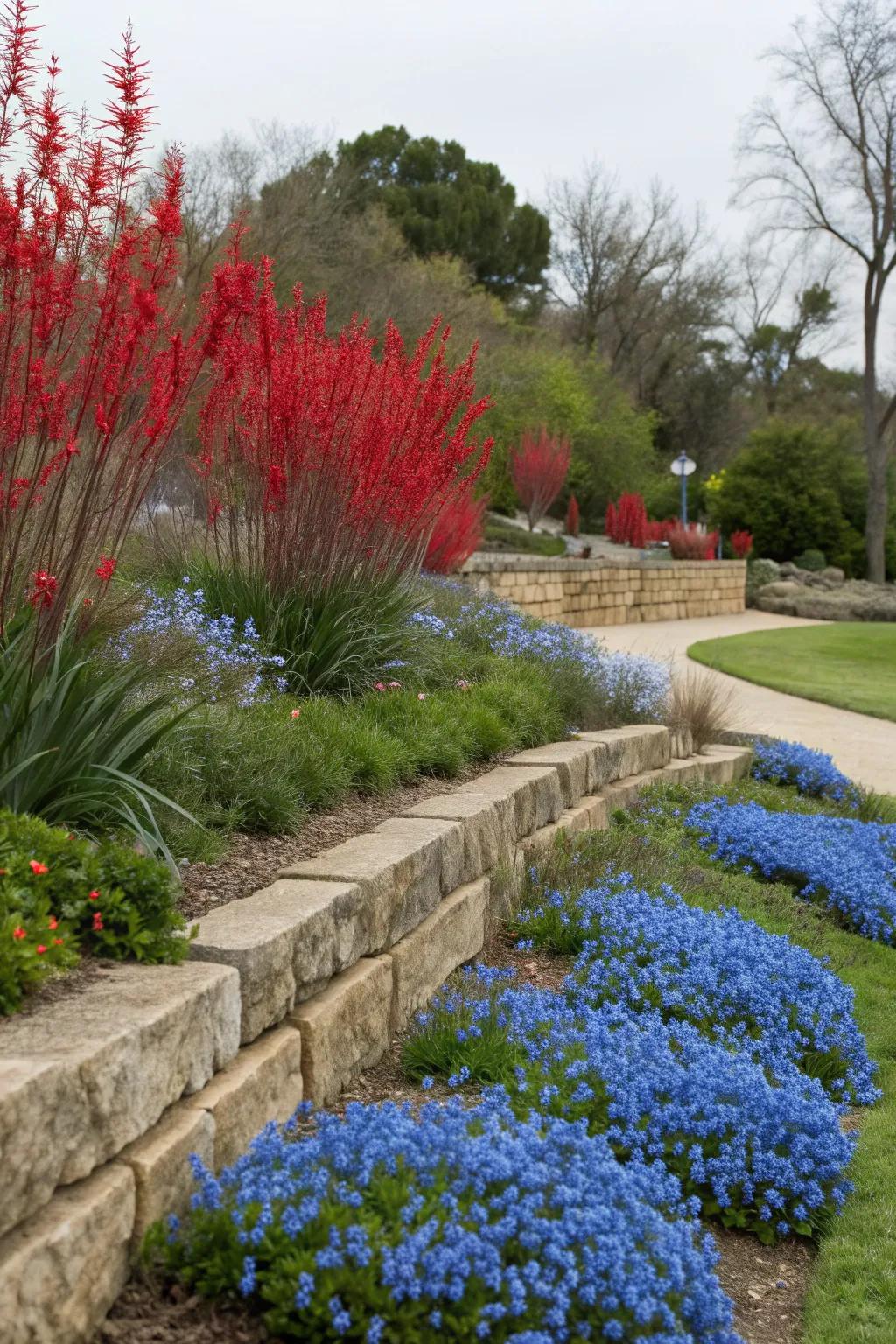 A layered flower bed using Red Yucca and Blue Plumbago for dynamic height and texture.